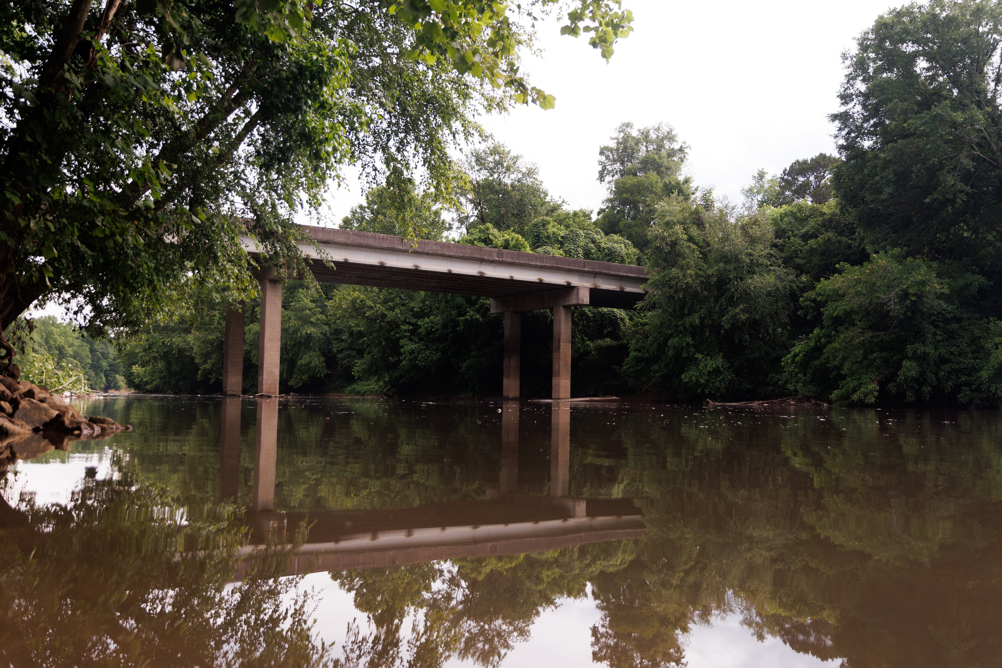 Drought conditions likely set the scene for a mass fish death along the Chattahoochee. (Estela Muñoz/AJC)