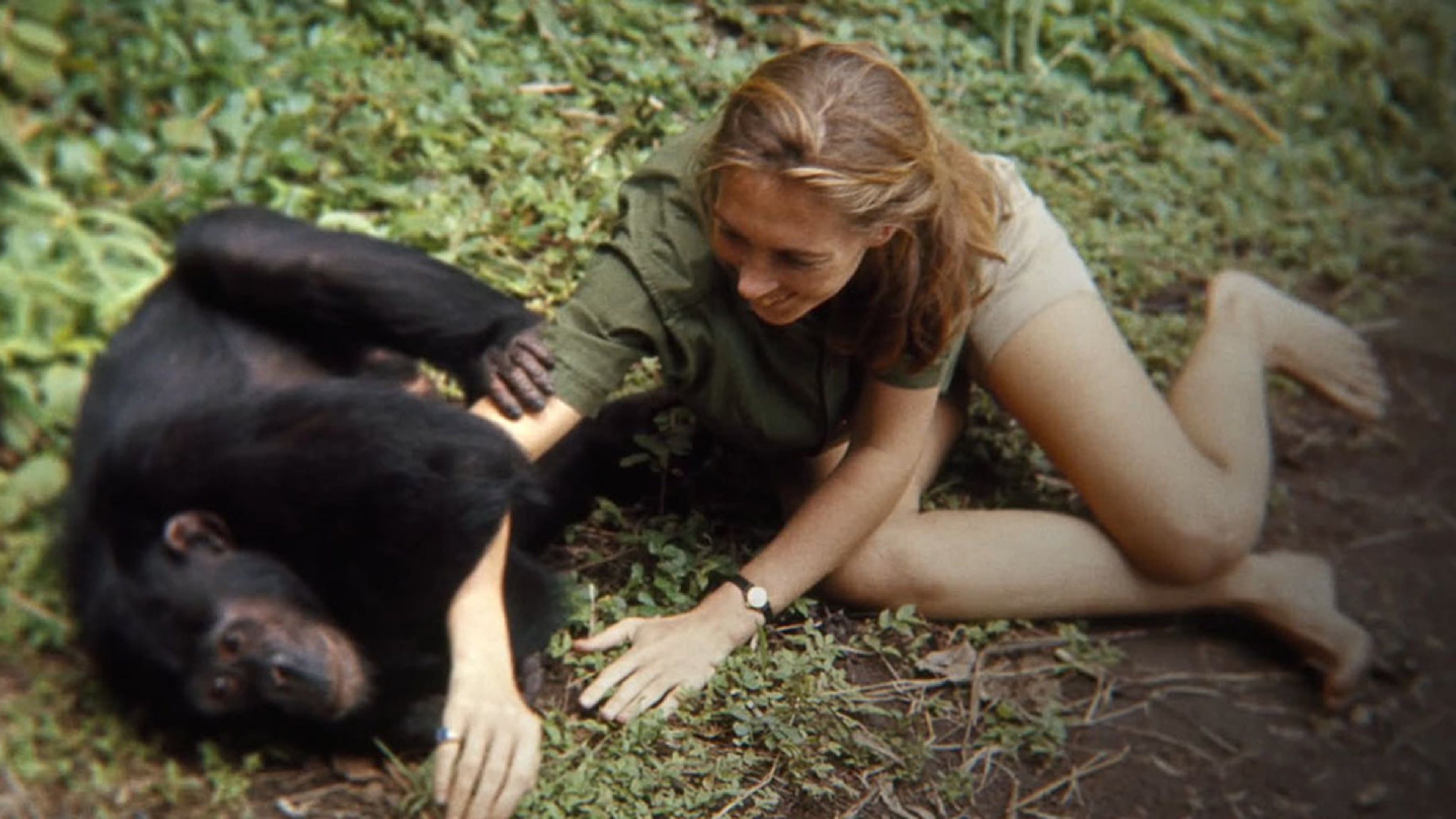 Jane Goodall appears in a frame from “Jane.” Contributed by TIFF