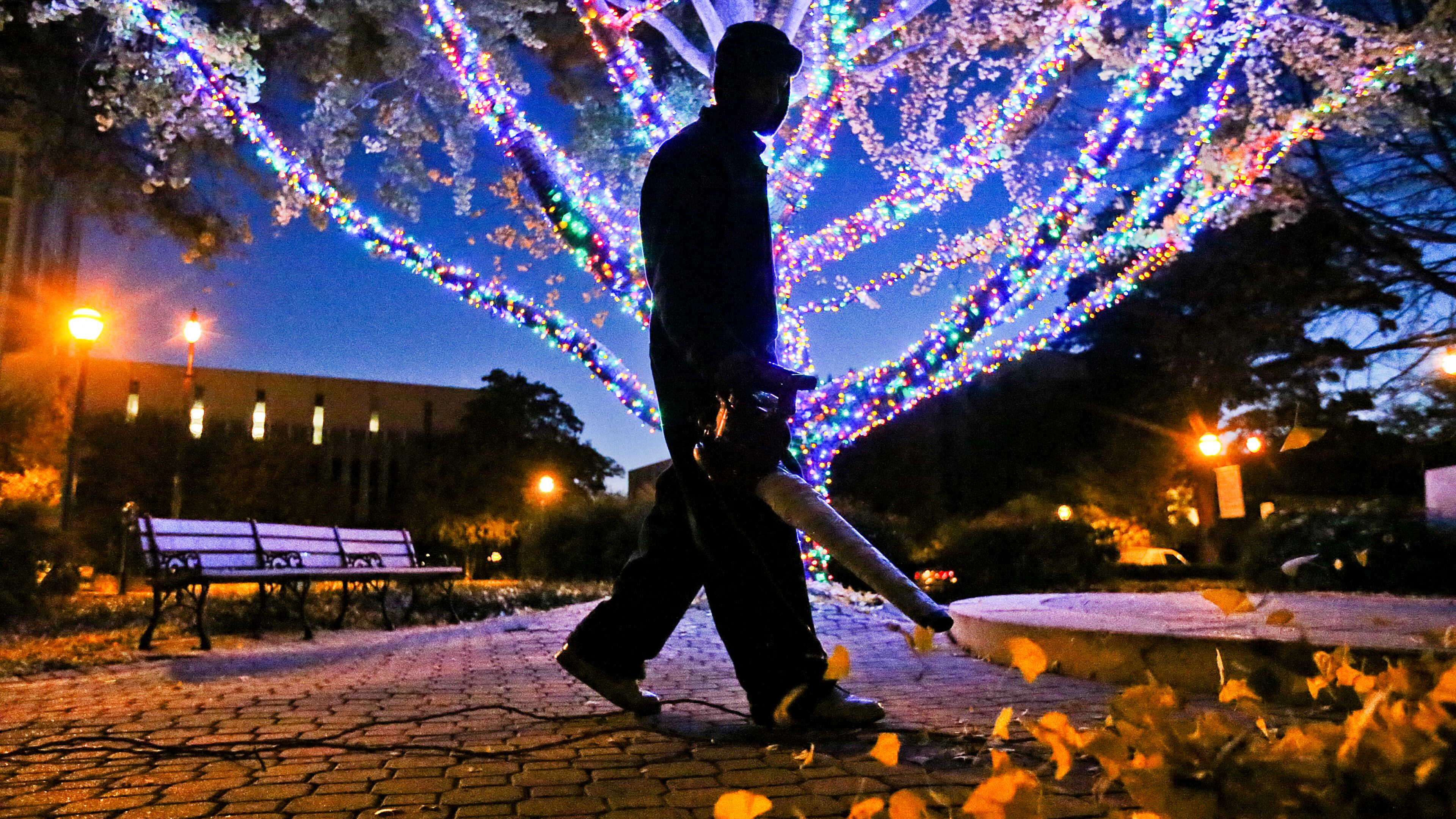 Rickey Nelson Jr. blows the Ginko leaves in front of Pershing Park Plaza where they have lit the Ginko tree with Christmas lights this year.