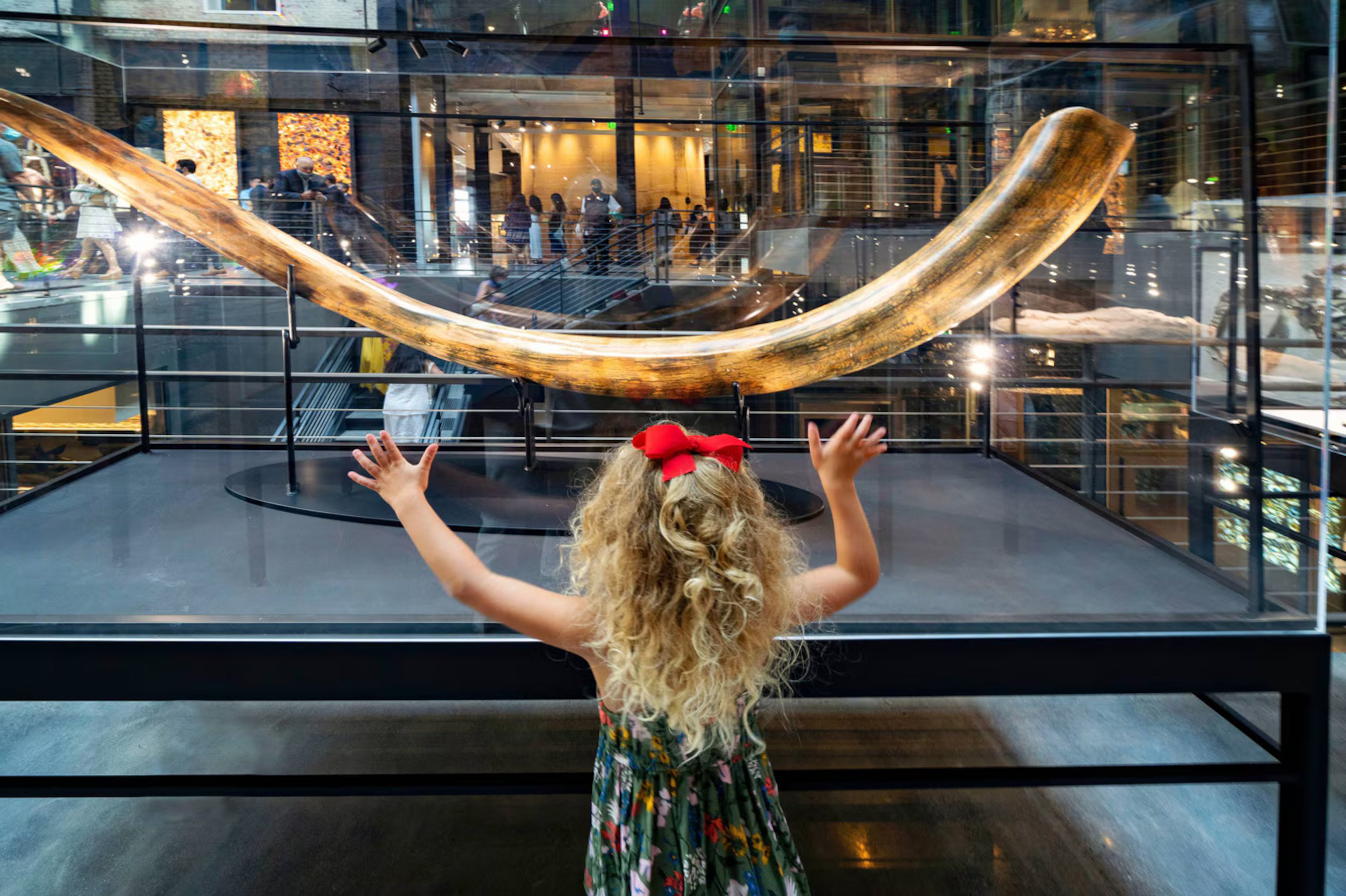 A dinosaur bone is part of the collection displayed in the lobby of the Plant Riverside District. The spacious public area was once the generator room of a power plant and now doubles as a natural science museum. (Photo courtesy of The Kessler Collection)