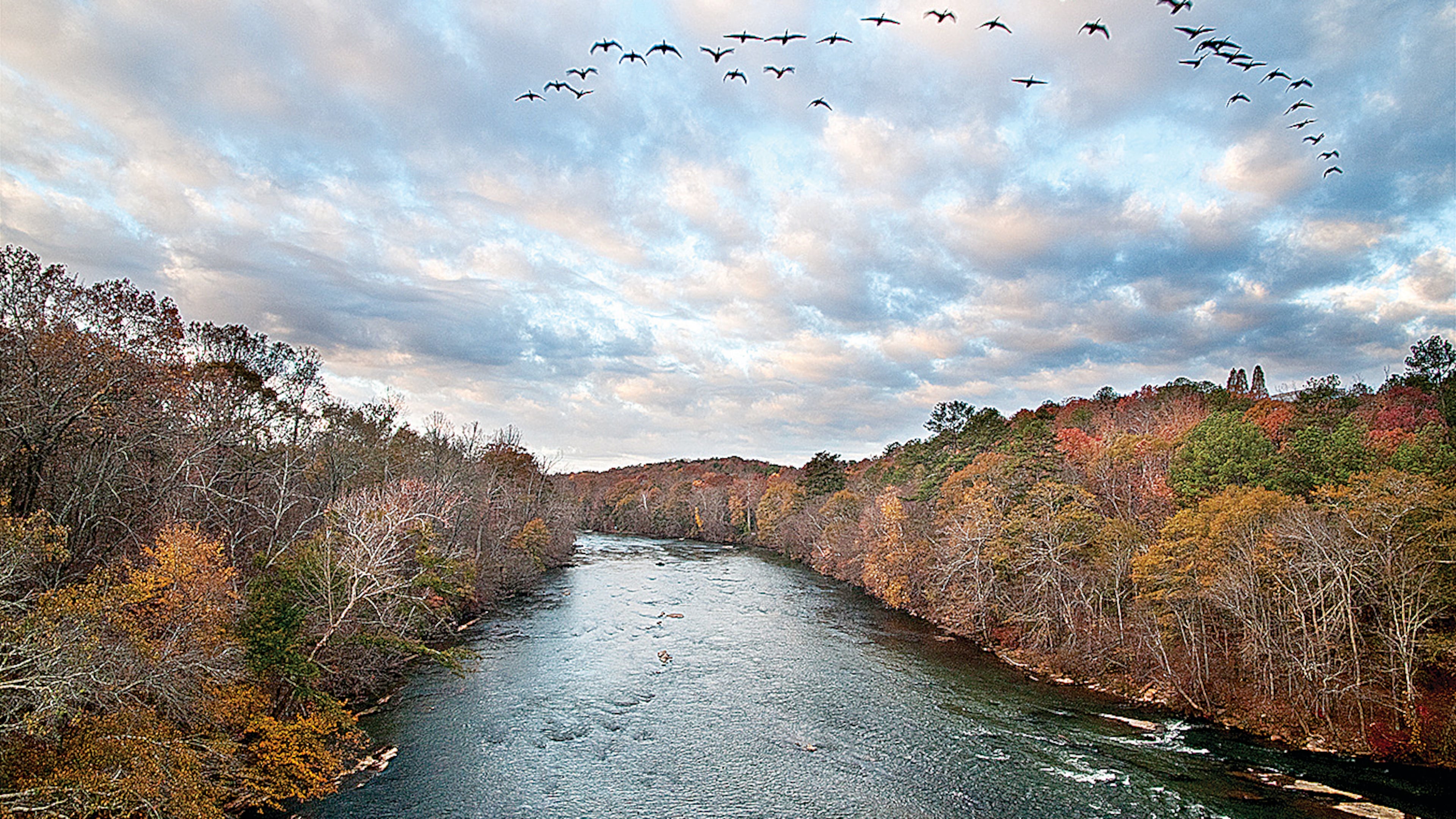 A scene from the Chattahoochee River.