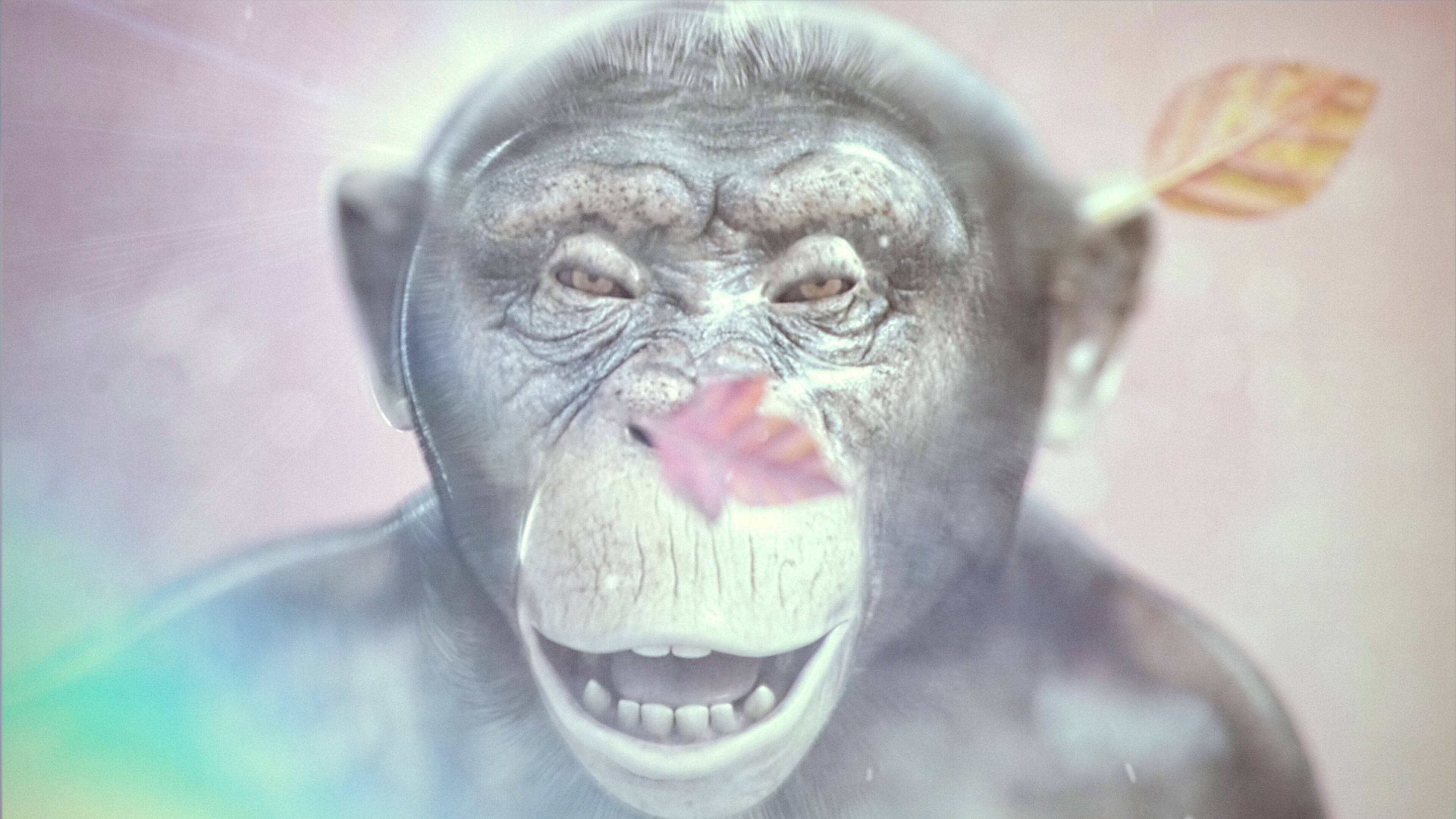 Image from Ed Atkins' video "Even Pricks," part of the exhibit "," opening Saturday at the Atlanta Contemporary Art Center.