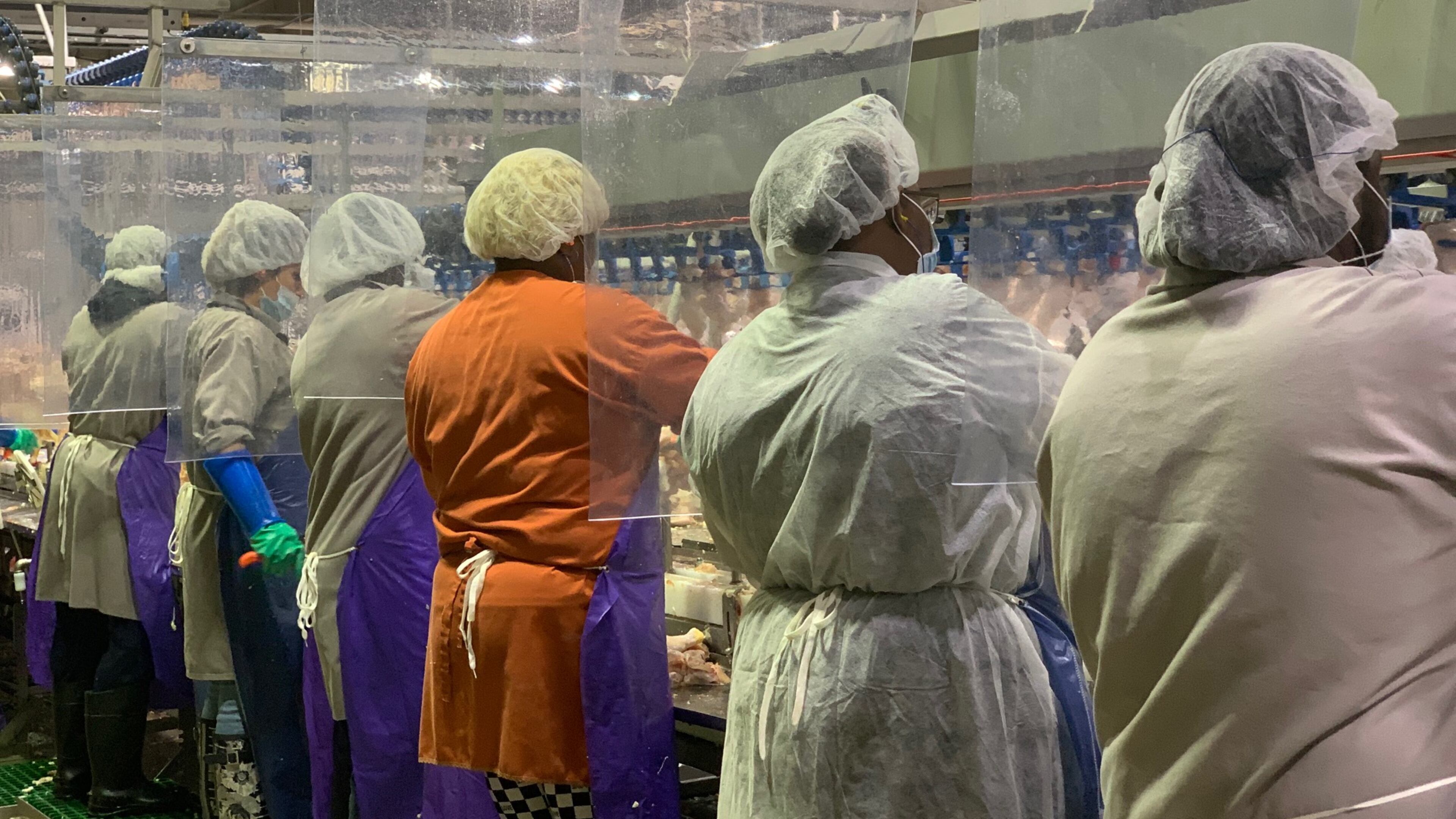 Poultry workers at the Tyson Foods on the line deboning and packing chickens. After three workers died in the Camilla plant, the company installed plastic dividers between the workers to space them out. Typically, employees work elbow to elbow. “We’re constantly looking for ways to improve and are sharing best practices among our facilities," said Tyson's senior vice president Hector Gonzalez. "We continue to update the measures we take in all locations as CDC continues to evolve its guidance.”