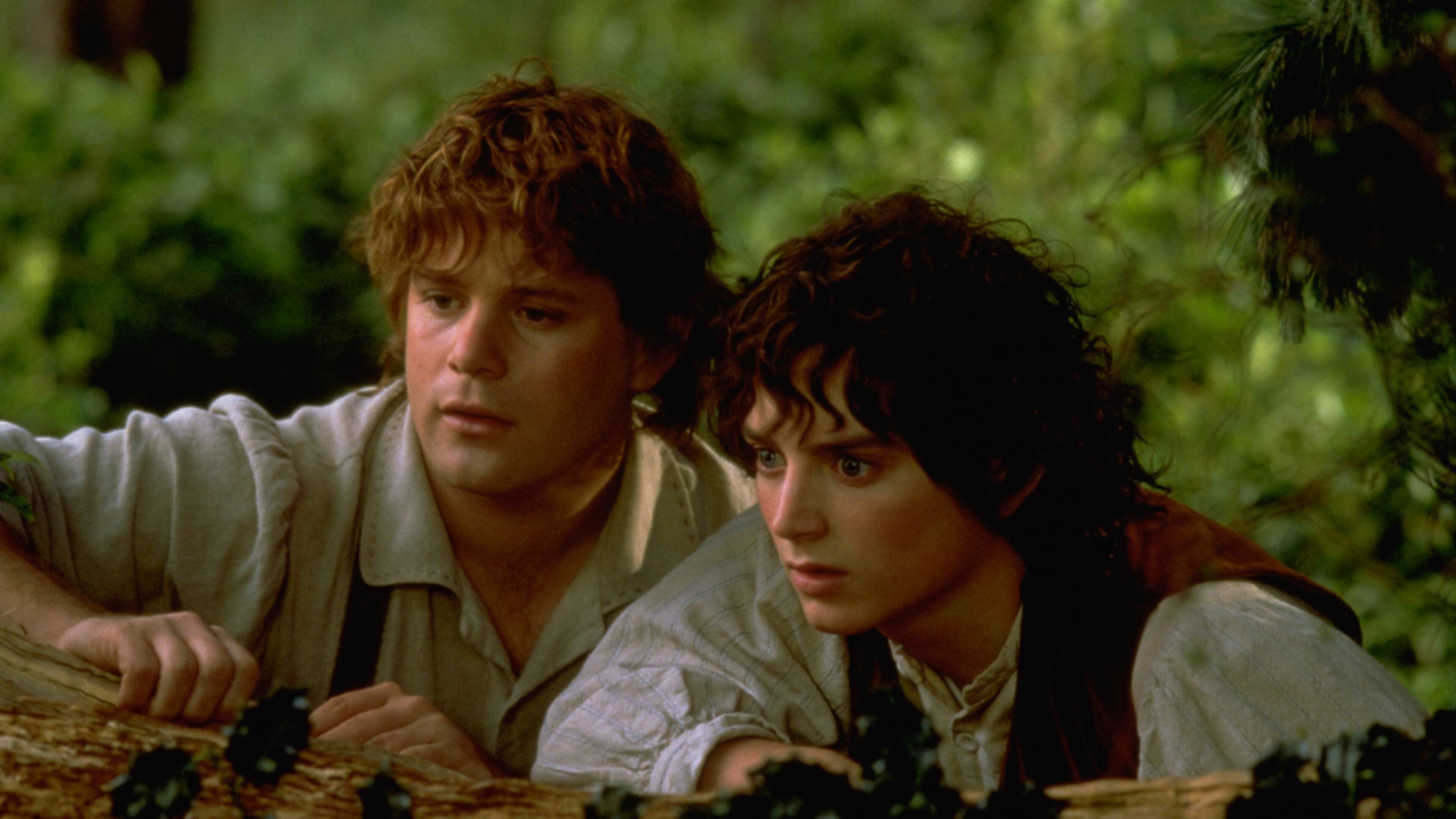 Sean Astin as Samwise Gamgee and Elijah Wood as Frodo Baggins in New Line Cinema's epic adventure, THE LORD OF THE RINGS: THE FELLOWSHIP OF THE RING. Photo credit: Pierre Vinet / New Line Cinema. © 2001 New Line Productions, Inc. The Lord of the Rings and the characters, names and places therein, (TM) The Saul Zaentz Company, d/b/a Tolkien Enterprises, under license to New Line Productions, Inc. All Rights Reserved.