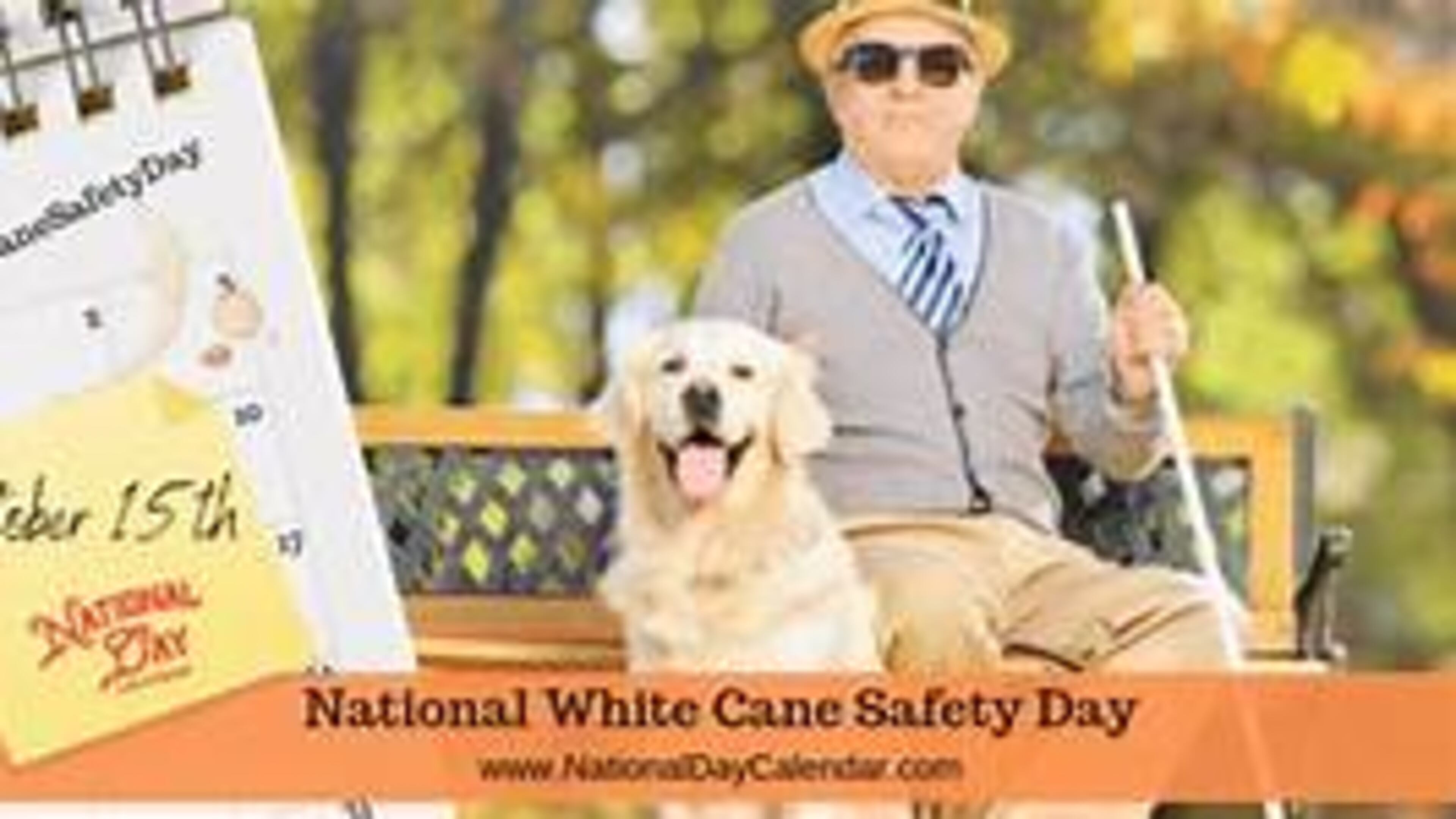 In recognition of Blind Americans Equality Day on Oct. 15, the DeKalb County Public Library will host a three-part online series from 11 a.m. to noon Oct. 15, Nov. 1 and Dec. 10 to help people with vision loss. (Courtesy of NationalCalendarDay.com)