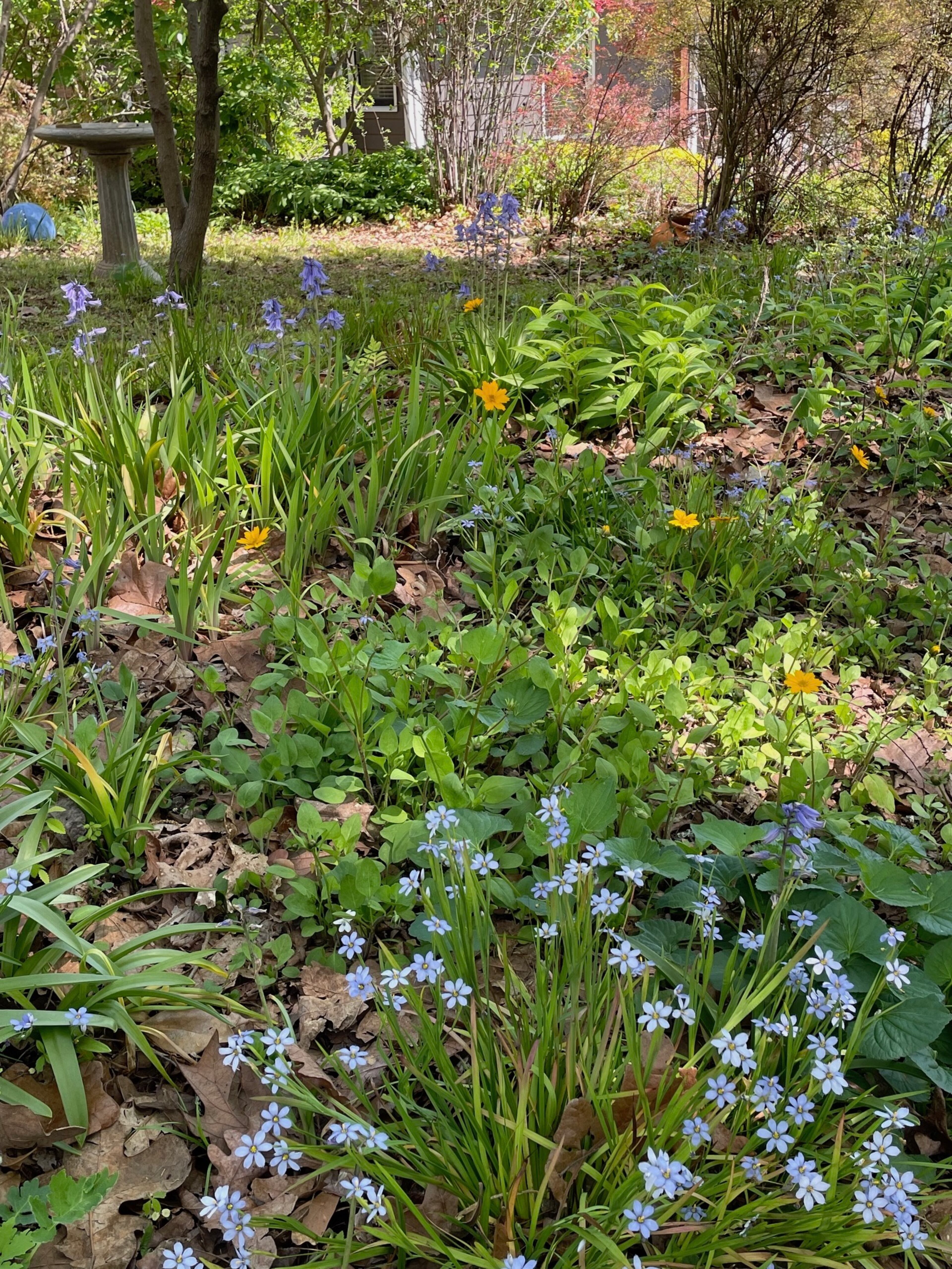 The Pushing Up Daisies Garden Tour is a benefit for the historic Sylvester Cemetery.
(Courtesy of the East Atlanta Strut / Michelle Rice)