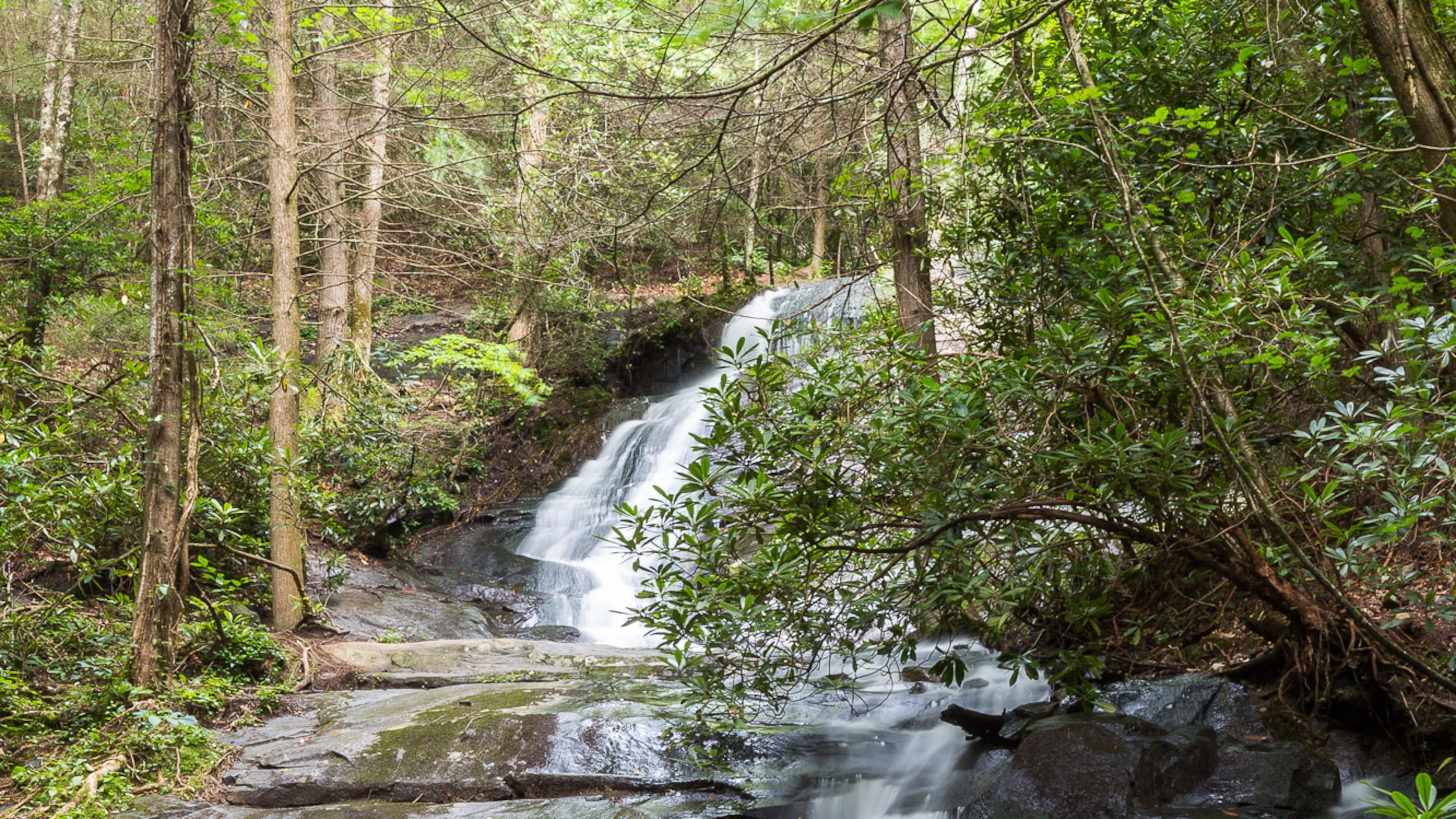 Fall Branch Creek rambles over Fall Branch Falls through lush north Georgia forest, located just off the Benton MacKaye Trail near Blue Ridge.
