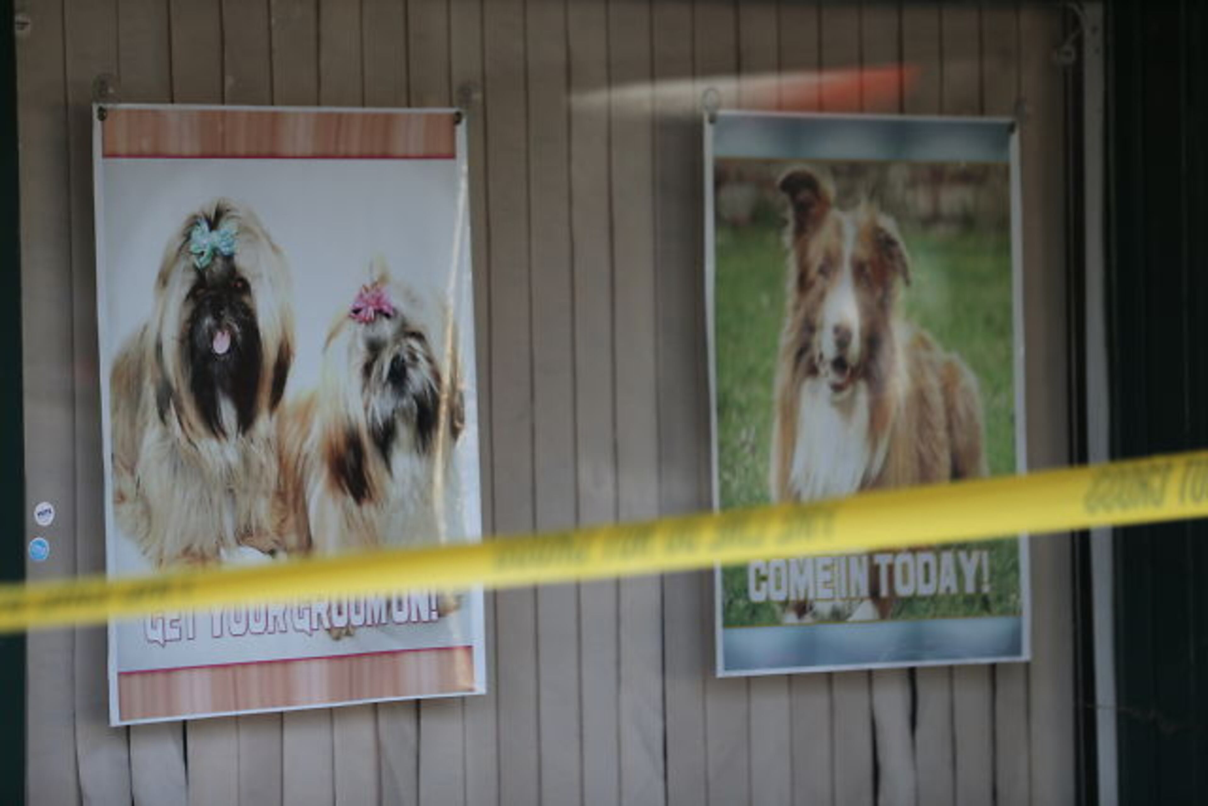 Seventeen dogs at a pet spa survived a DeKalb strip mall fire, but a Cocker Spaniel and a Shih Tzu died from smoke inhalation. JOHN SPINK / JSPINK@AJC.COM