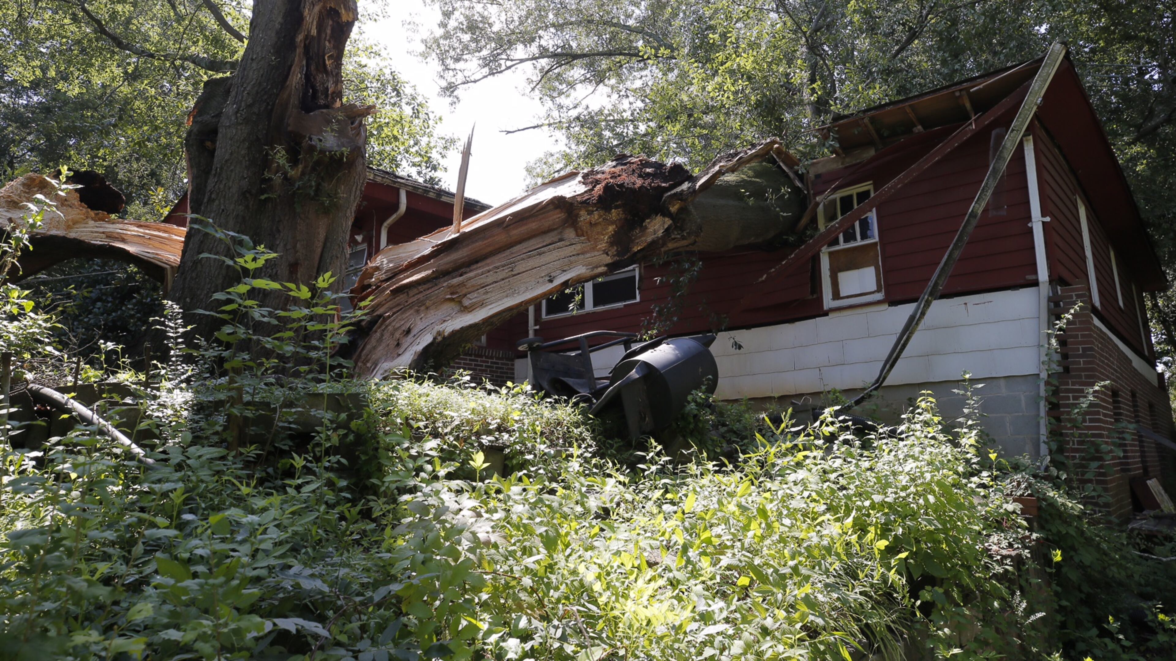 A Norcross family has been displaced after a tree fell on their home Tuesday morning.