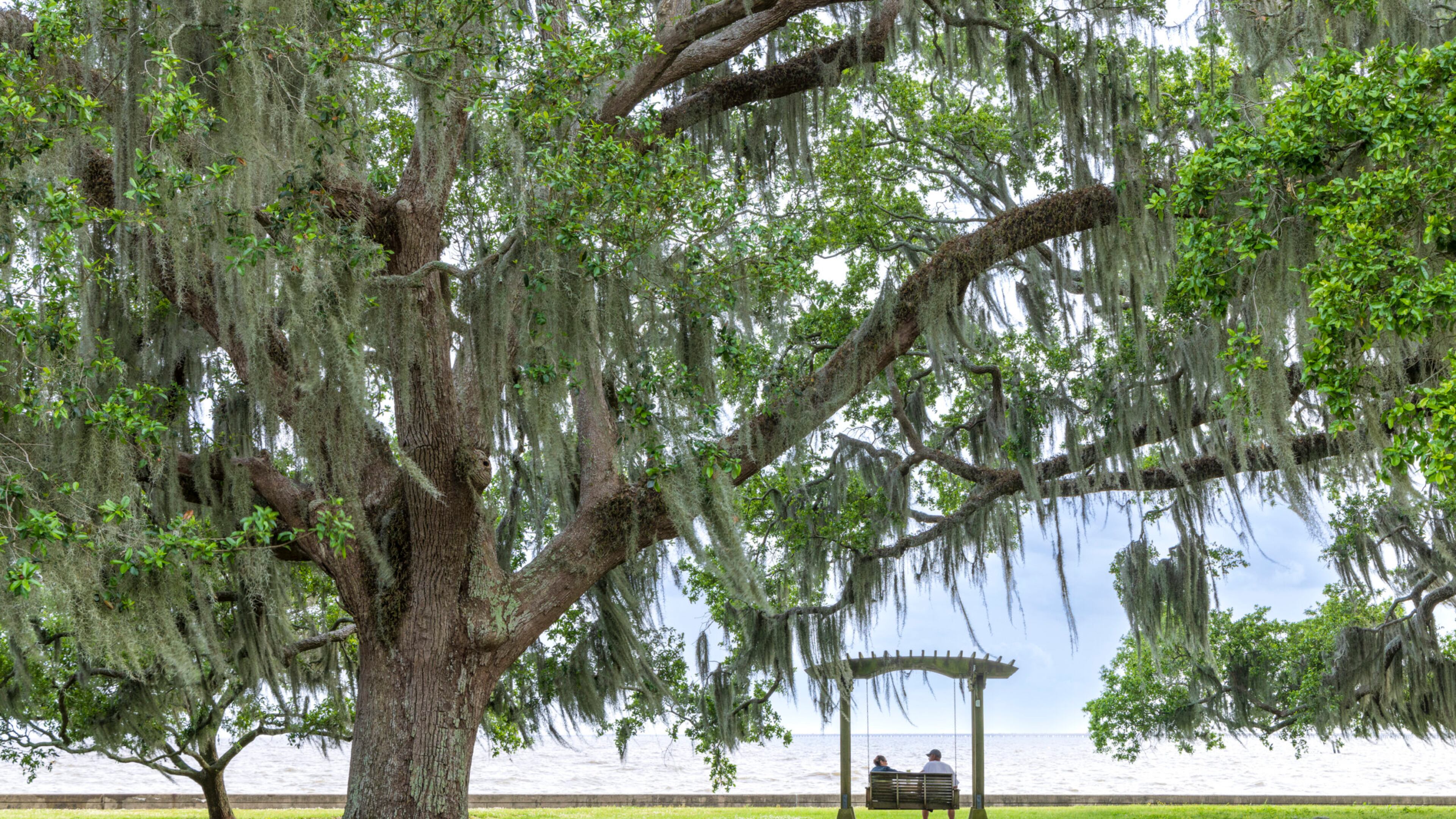 The waterfront park in Old Mandeville is a relaxing spot for taking in
views of Lake Pontchartrain.
(Courtesy of Eric Lindberg)