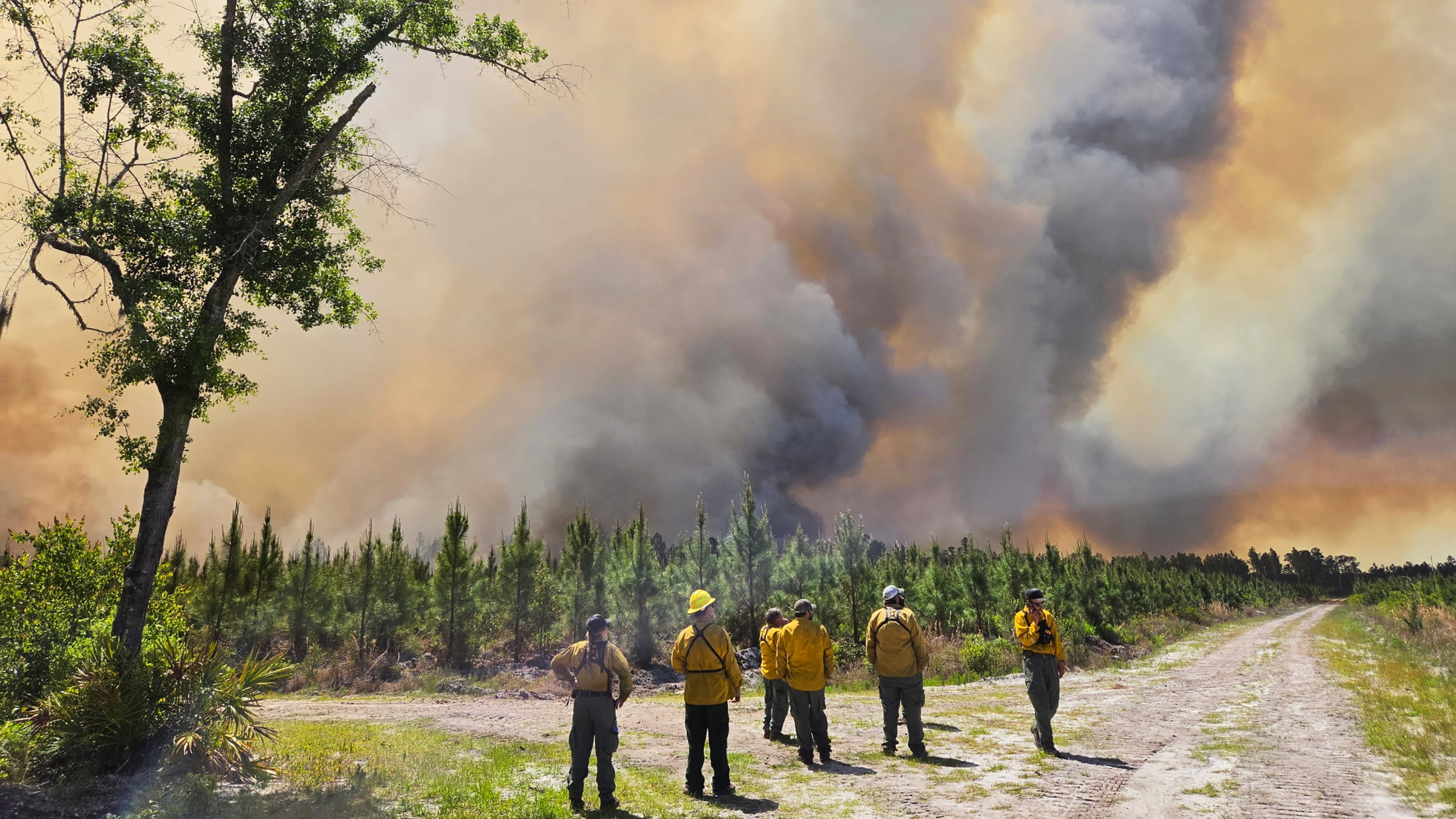 This file photo from April 2026 shows firefighters responding to the Pineland Road Fire in southeast Georgia. Much of the fire has since been contained. (Georgia Department of Natural Resources via AP)