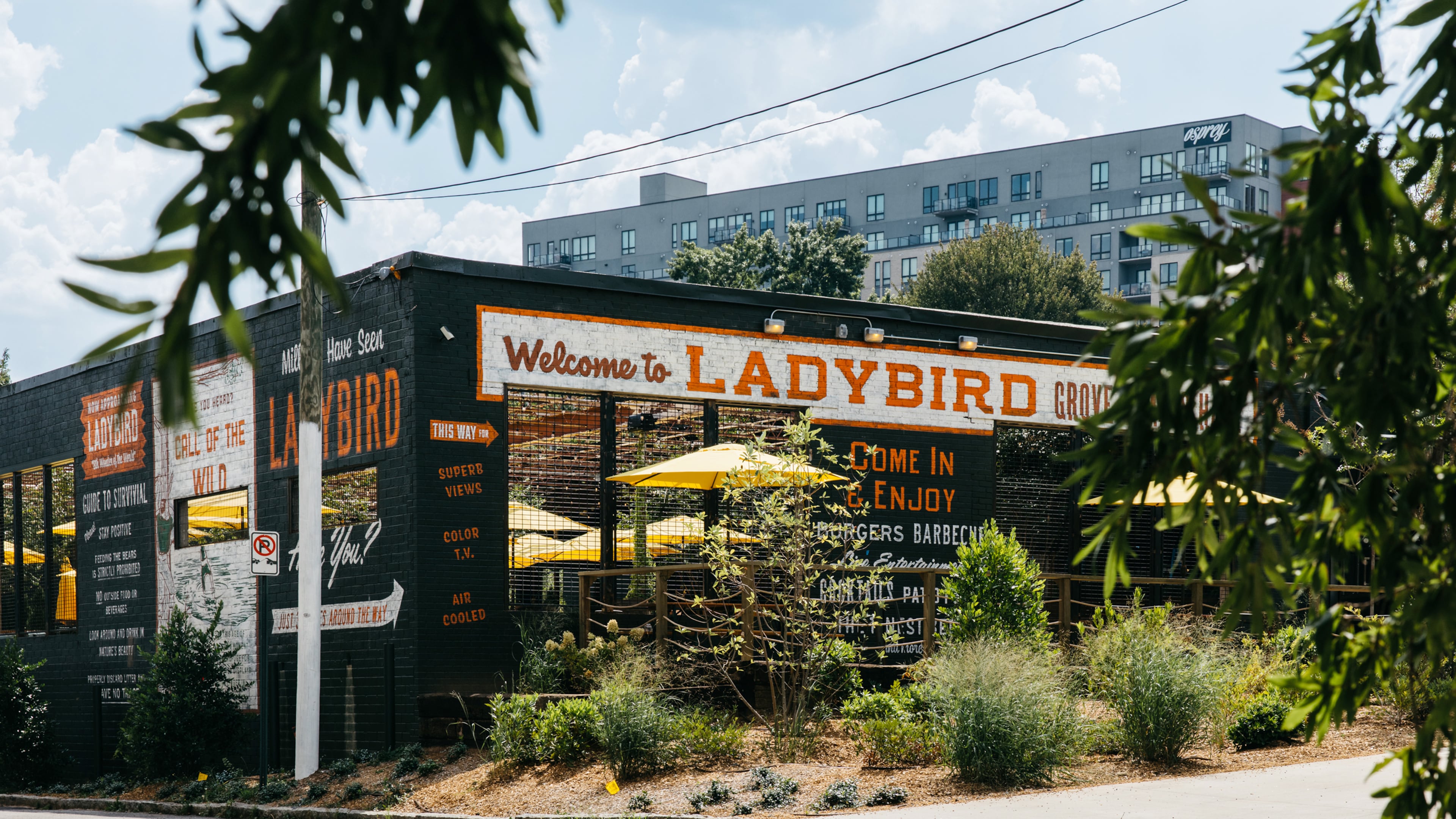 Ladybird took over an industrial warehouse on 11th Street. (Courtesy of Ladybird Grove & Mess Hall)
