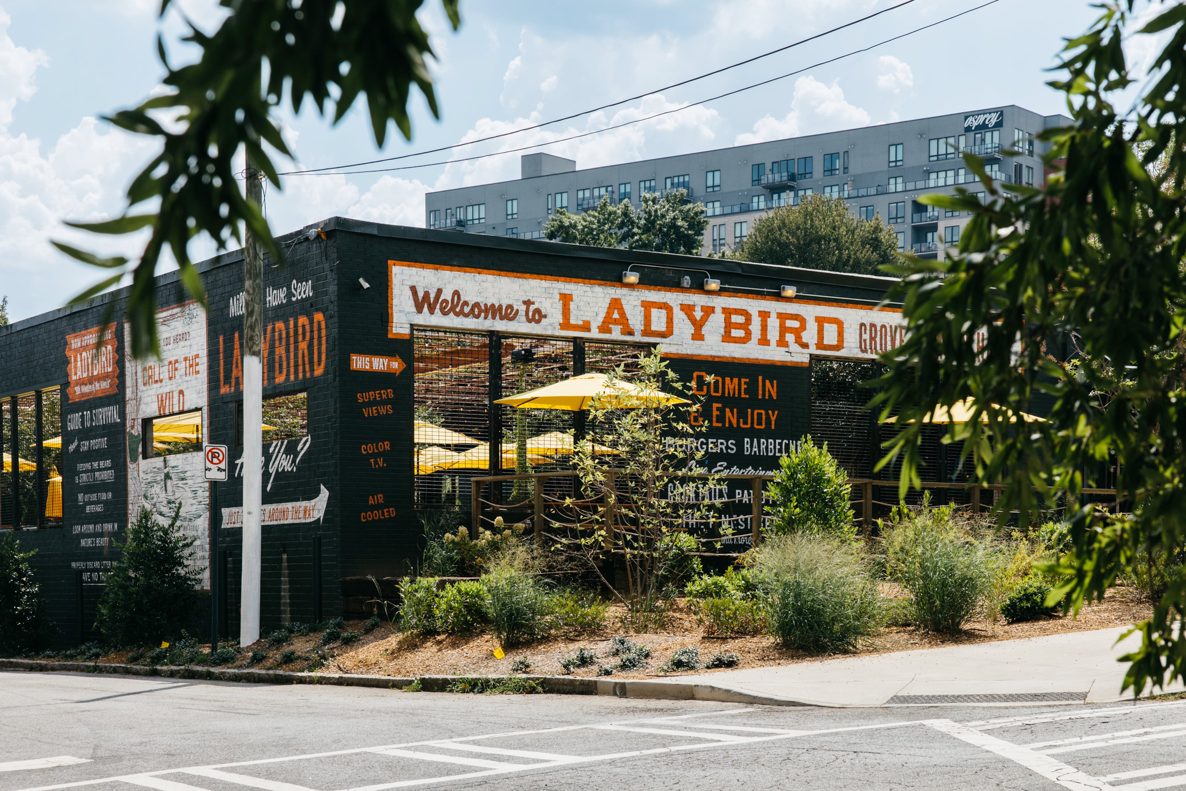 Ladybird took over an industrial warehouse on 11th Street. (Courtesy of Ladybird Grove & Mess Hall)