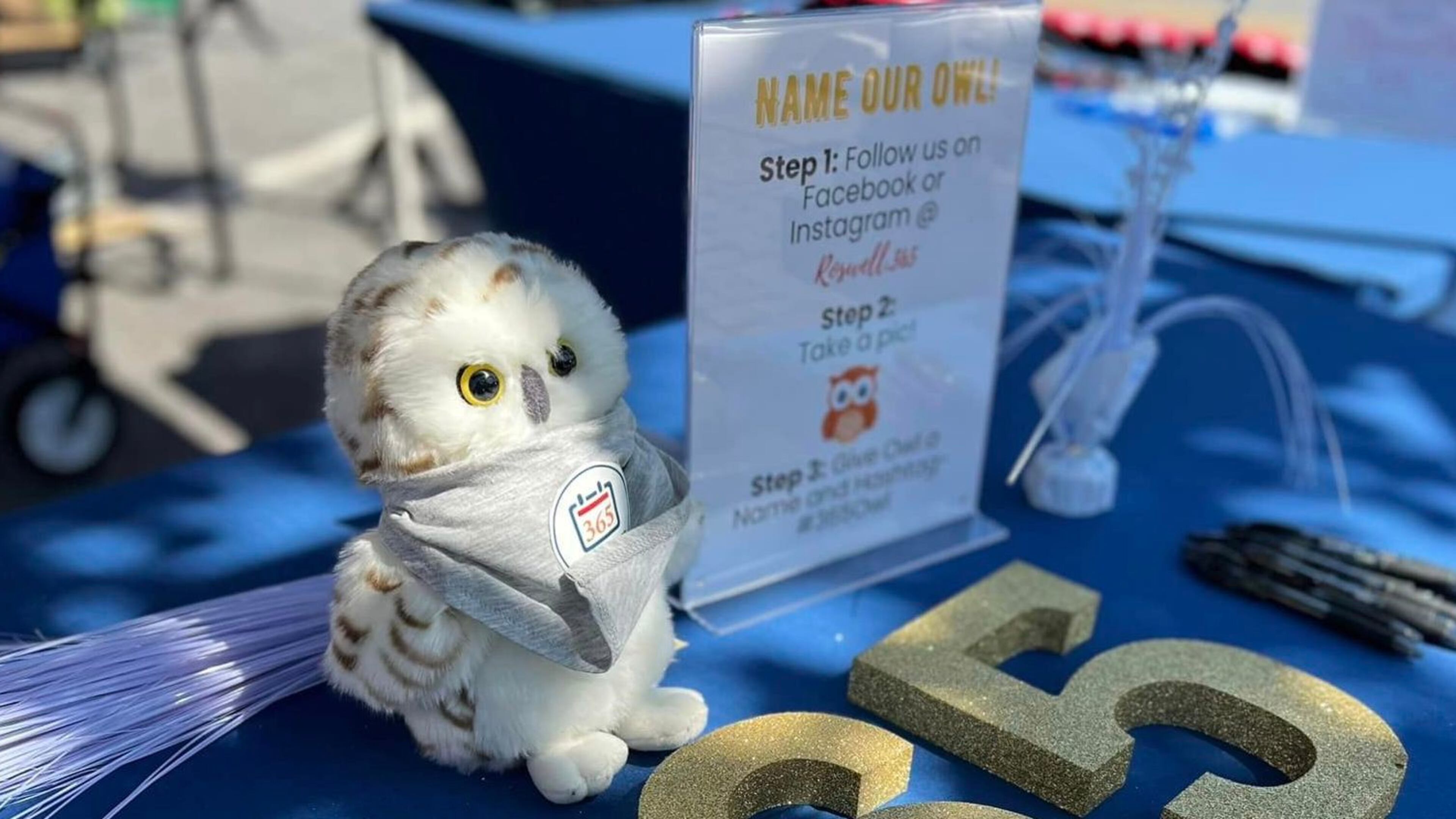 The votes are in and Owlswell Hooch is the new name for the Roswell365 mascot. (Courtesy City of Roswell)