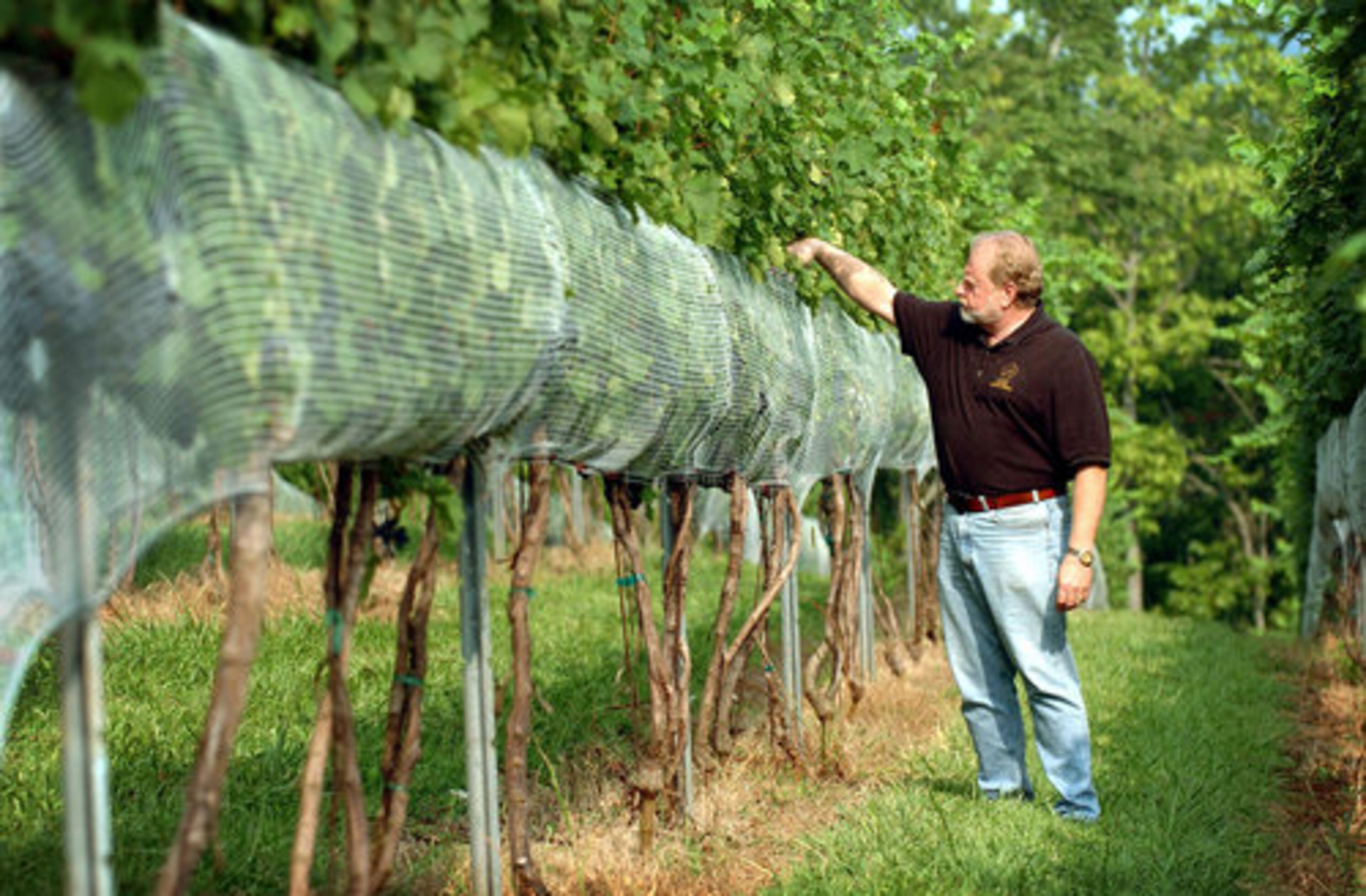 Winemaker: Being a vineyard owner is a true labor of love, requiring one to be farmer, winemaker and marketer to launch a successful wine label.