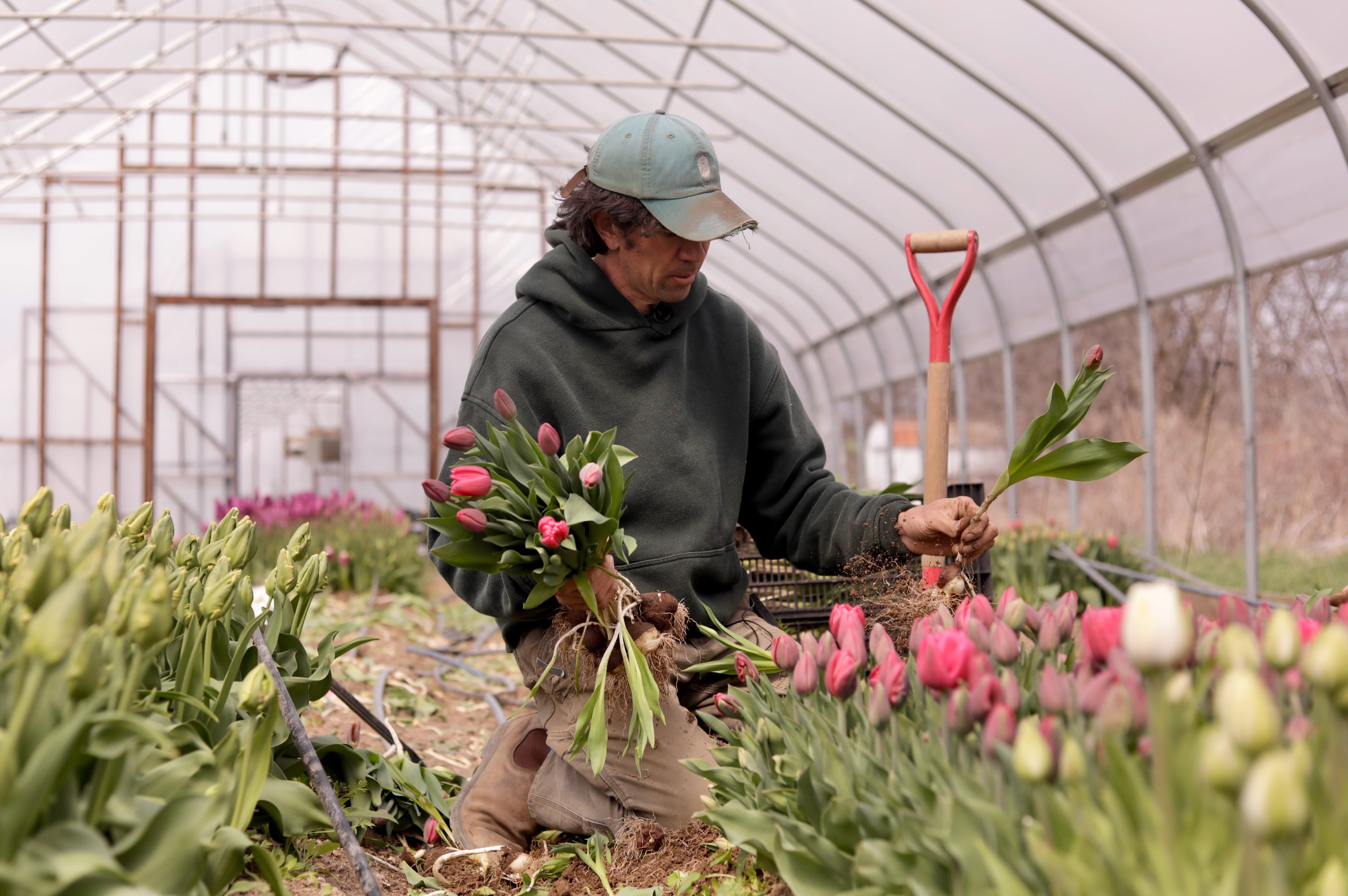 US Weather Temperature Swing