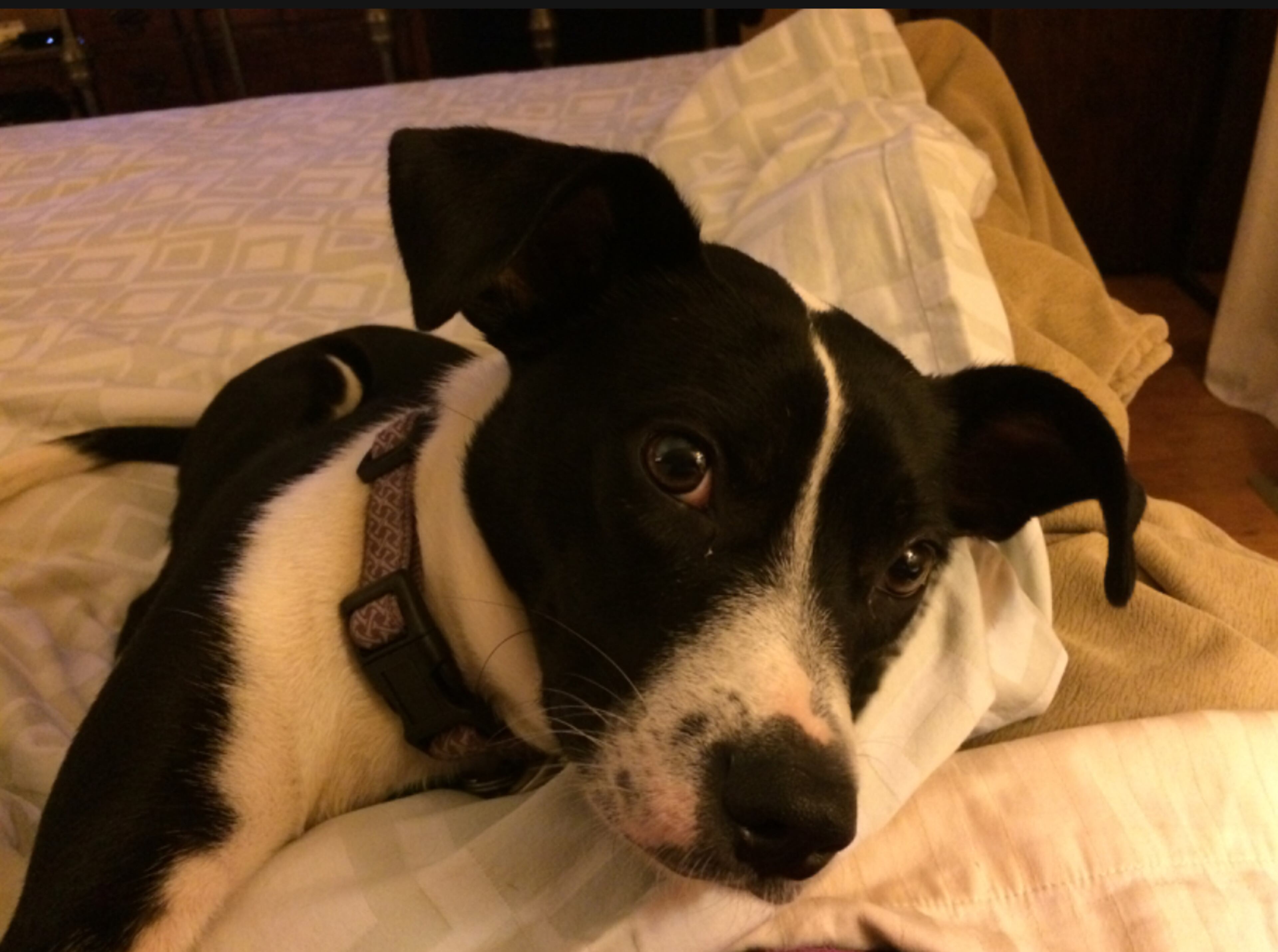 Eddie Hicks calls AJC subscribers Reggie and Anita Hicks his people. (Courtesy photo)