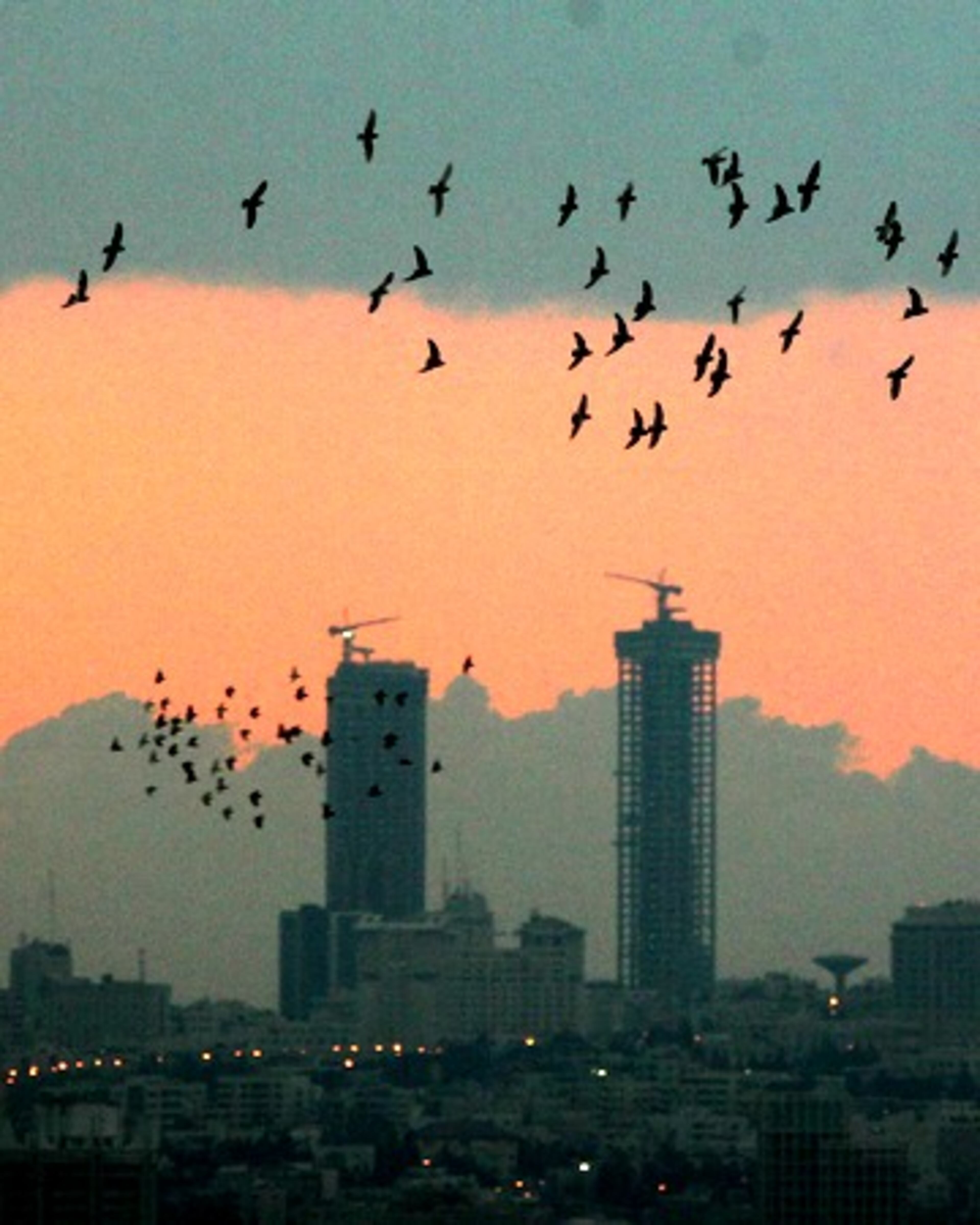 Birds flock in the sky at dusk above the city of Amman, Jordan on Tuesday, with the Jordan Gate twin towers under construction in background. The towers are being built by Gulf developer Bayan, and will be the highest buildings in the country, expected to rise to 44 floors and become a landmark visible from every corner of the capital.