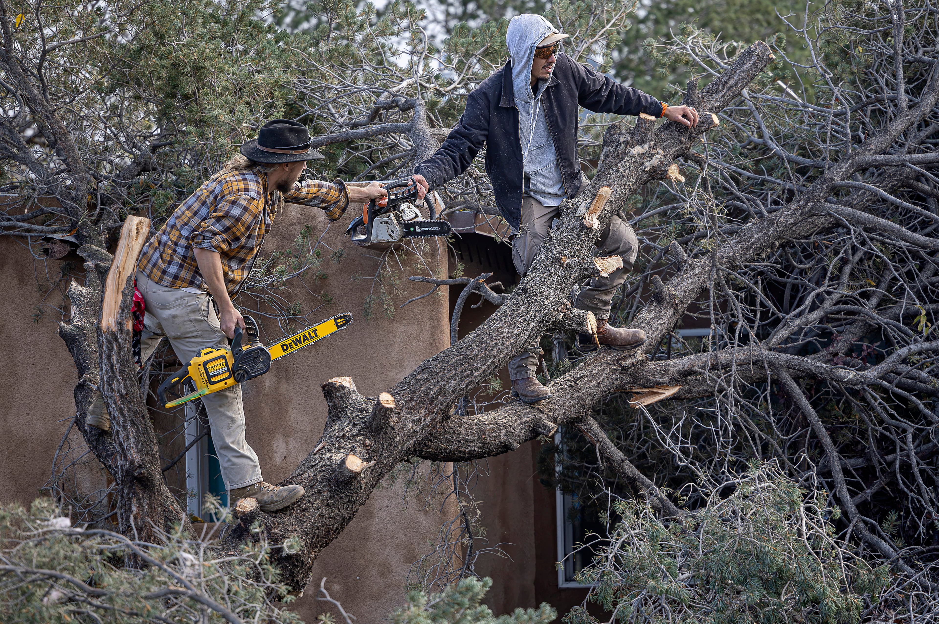 Extreme Weather New Mexico