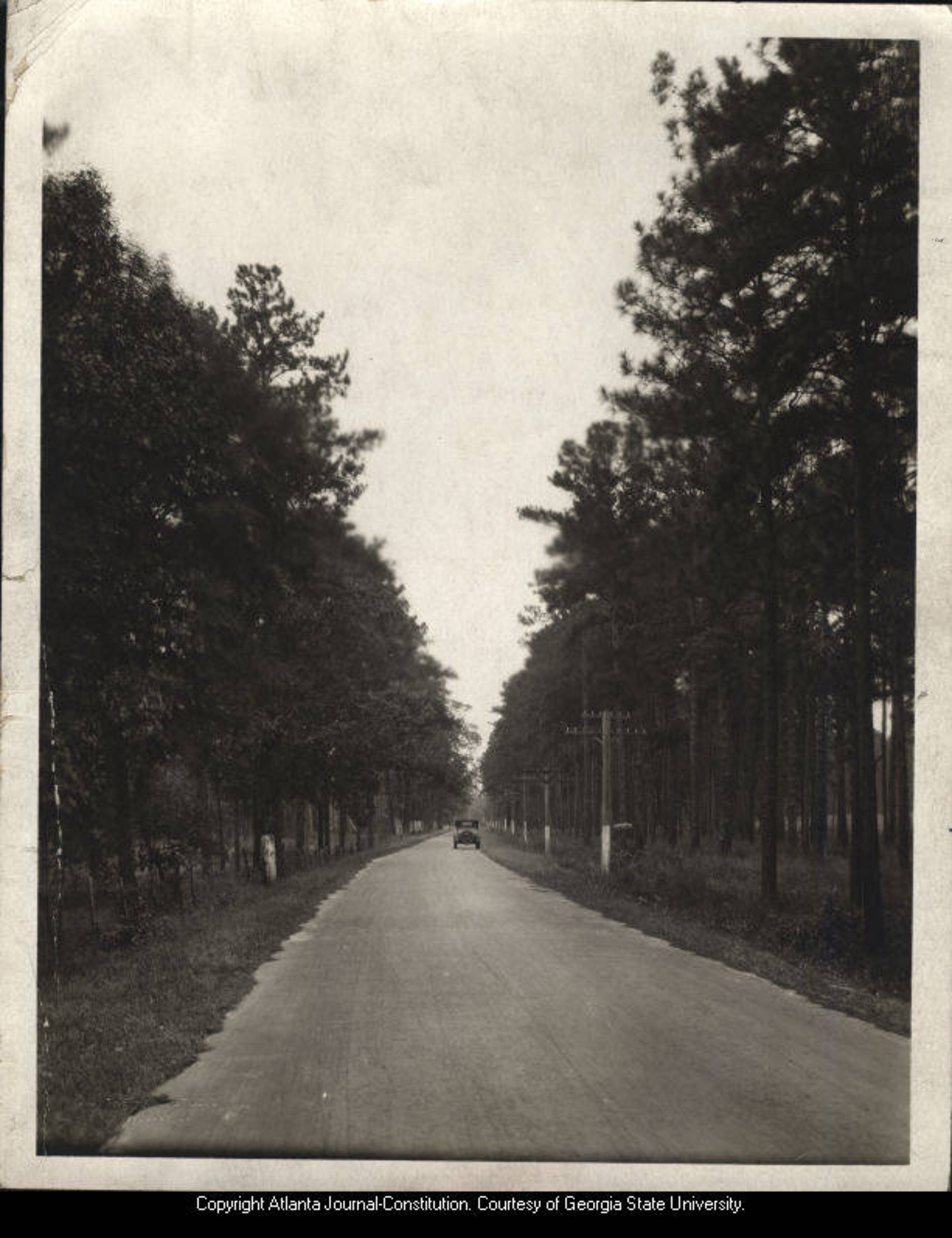 1920s -- Georgia State Route 3, winding through a forest of stately pines, south of Albany. Photo by Hart Studio, Albany. AJC PHOTO ARCHIVES
