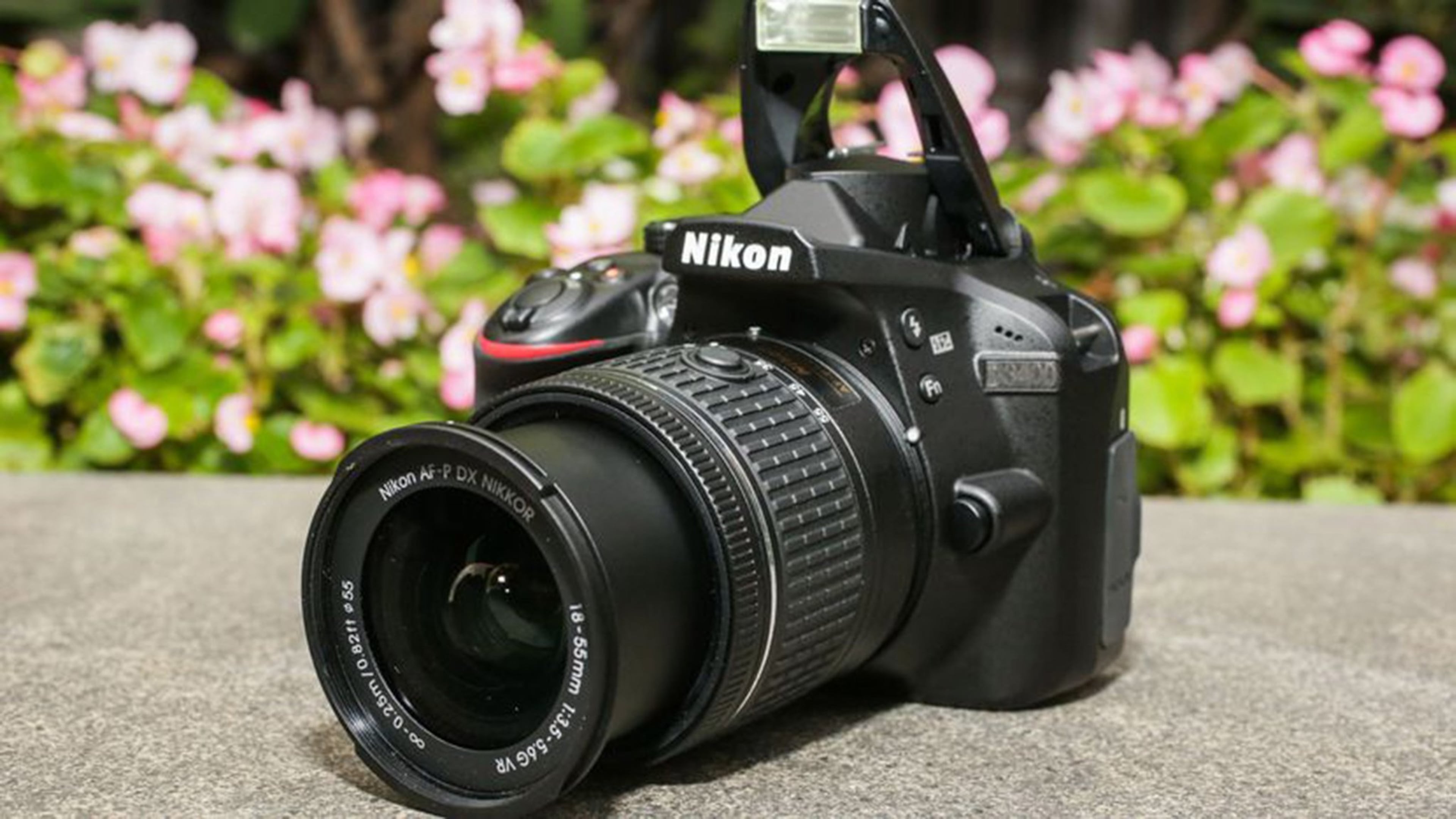 Very good photo quality for its class plus performance fast enough to capture kids and pets make the Nikon D3400 A solid choice for a first DSLR. (CNET/TNS)