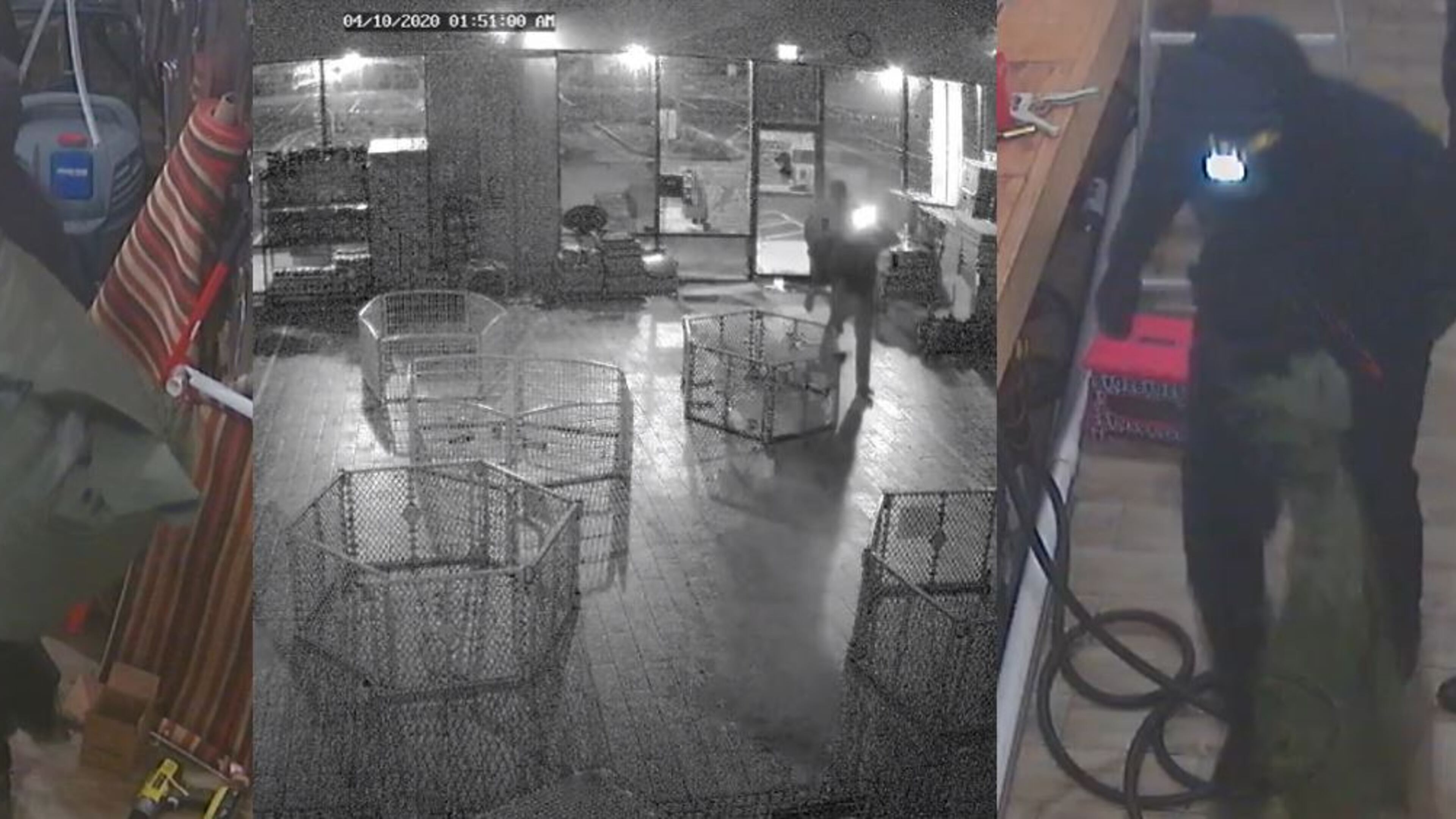 Police said the two men broke into the pet store and tossed the puppies into green bags.