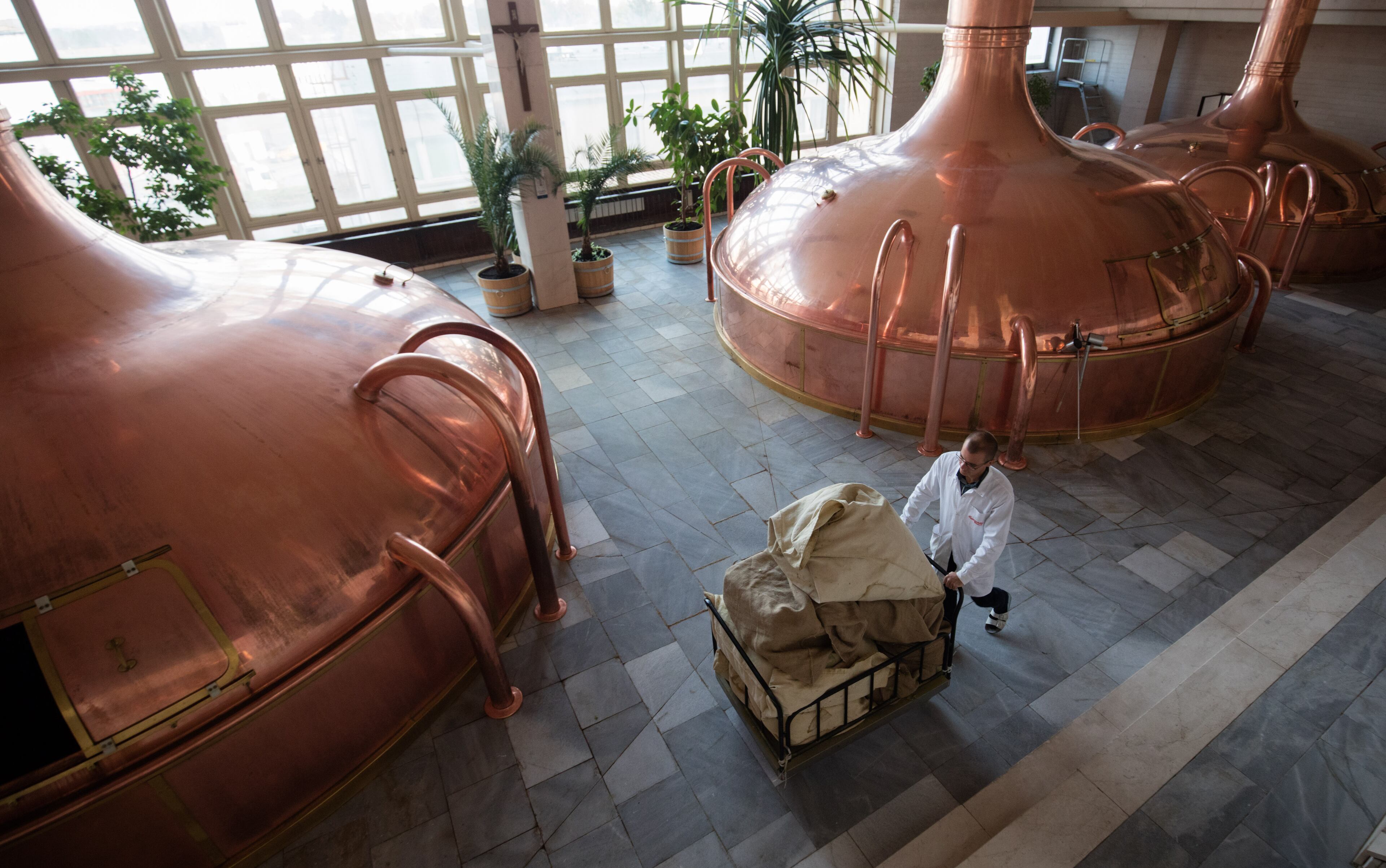 CESKE BUDEJOVICE, CZECH REPUBLIC - SEPTEMBER 25: Budweiser Budvar's beer quality management specialist Petr Kosin adds some hops into a copper kettle in the brew house the Budweiser Budvar brewery on September 25, 2015 in Ceske Budejovice, Czech Republic. October 7 2015 sees the 120th anniversary of the Czech Budweiser Budvar Brewery. Budweiser Budvar Beer uses locally-grown Saaz hops, which are ranked among the best in the world, and requires soft water that is drawn from wells situated below the brewery that are well over 9000 years old. In the Czech Republic an old proverb says: "It takes only a sip to know a good beer, but it is best to be sure". (Photo by Matt Cardy/Getty Images)