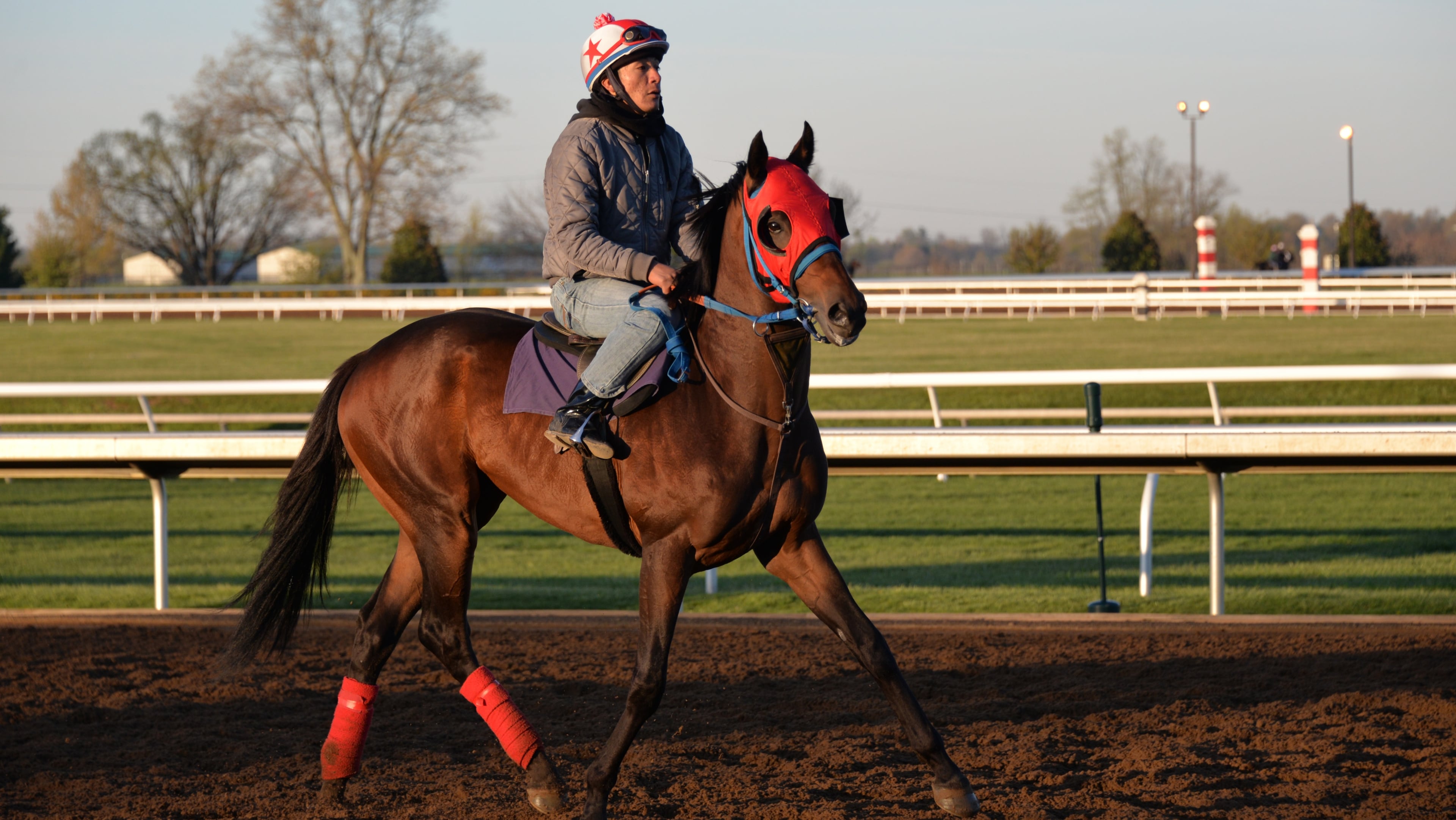 At Keeneland Racecourse, a thoroughbred gets an early-morning workout. Photo by Penny Loeb for The Washington Post.