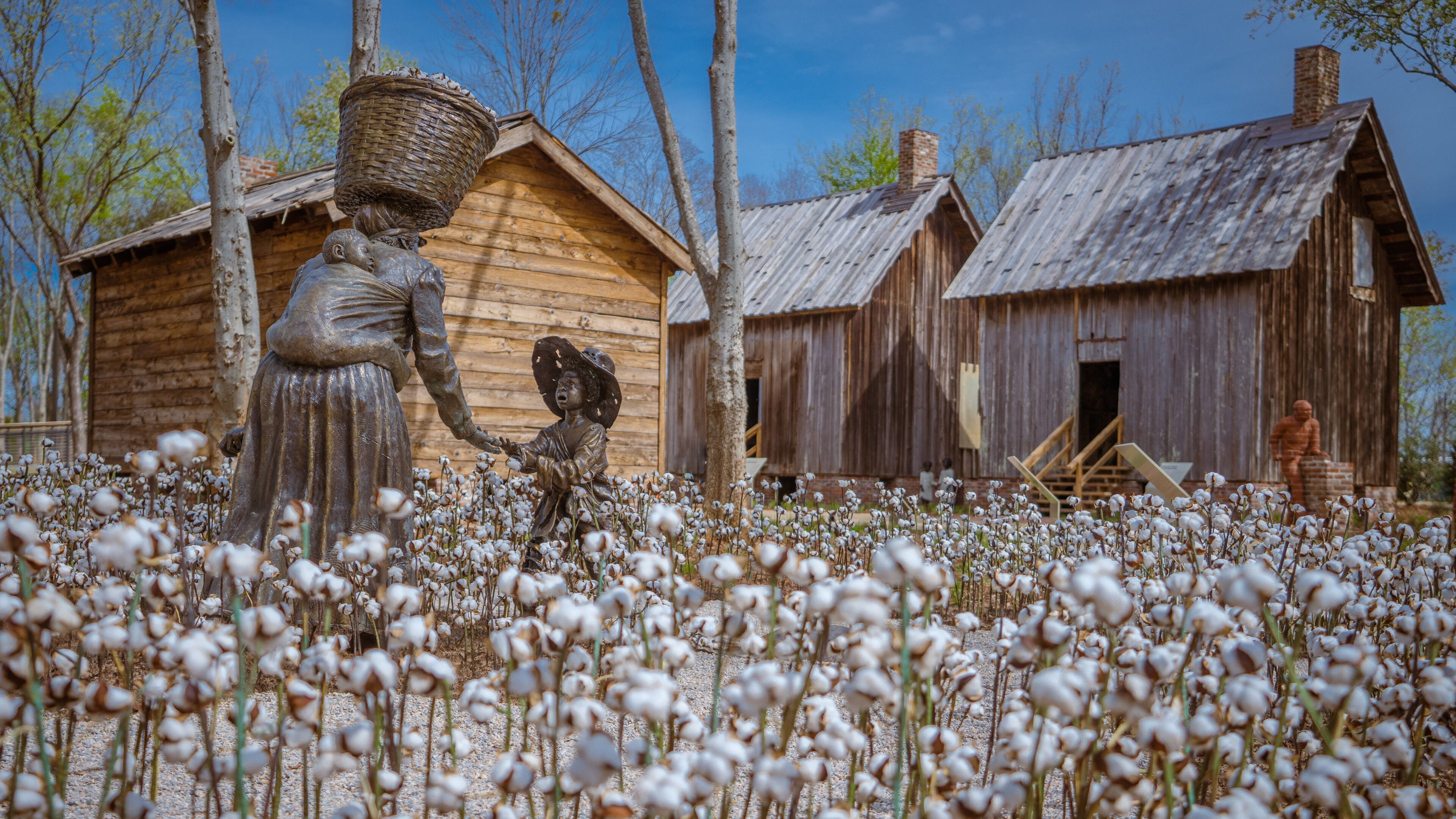 Ghanian artist Kwame Akoto-Bamfo’s figurative groupings at Freedom Monument Sculpture Park chronicle the arrival of a family of enslaved people who have just arrived in the Americas. The family is later depicted working in the cotton fields where a young child has pricked a finger on the sharp cotton bolls. Courtesy of Equal Justice Initiative ∕ Human Pictures