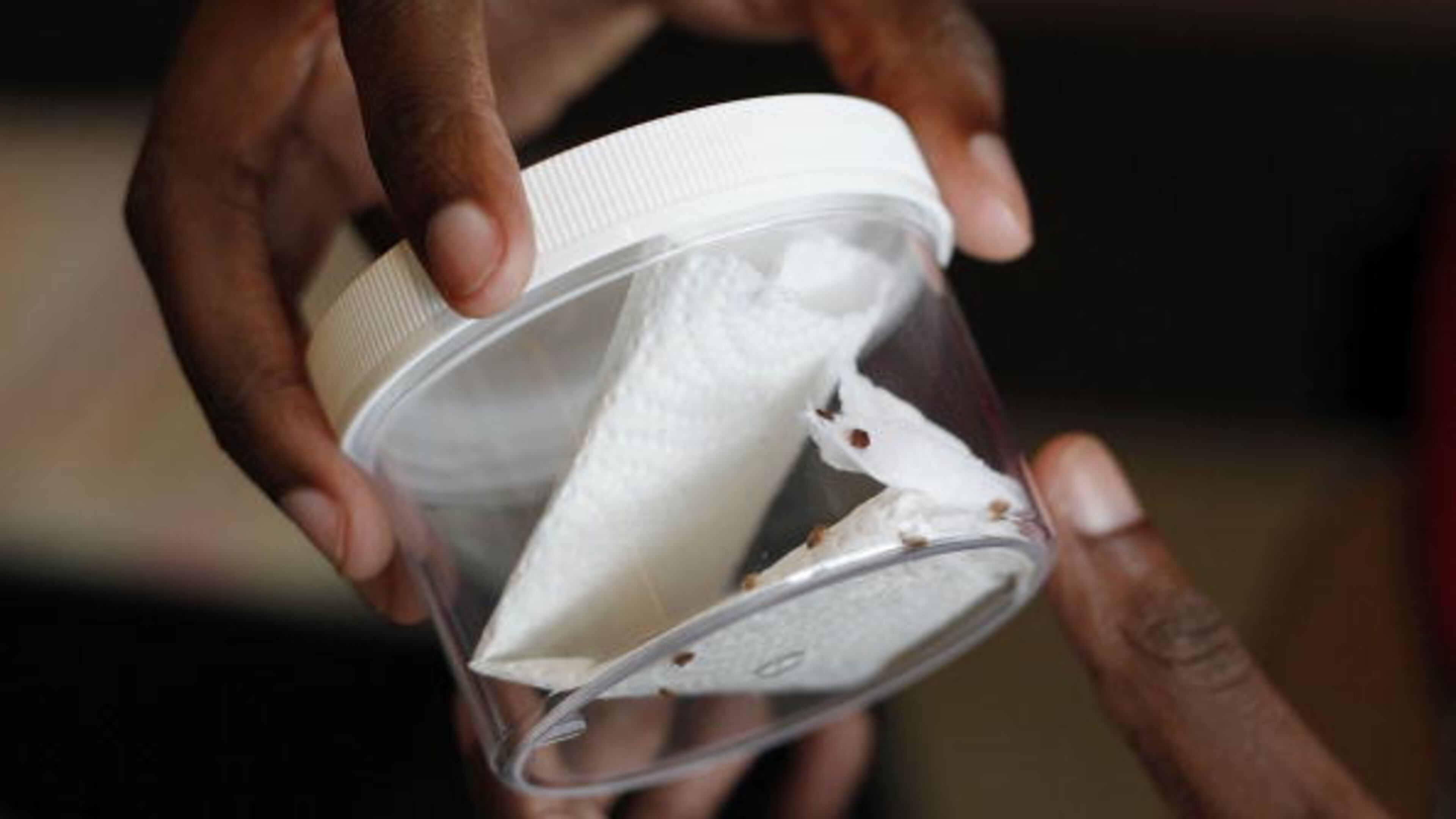 Bed Bug Central public relations associate Calvin Allen shows a vial containing live bed bugs at the Bed Bug University North American Summit 2010 on September 22, 2010 in Rosemont, Illinois.