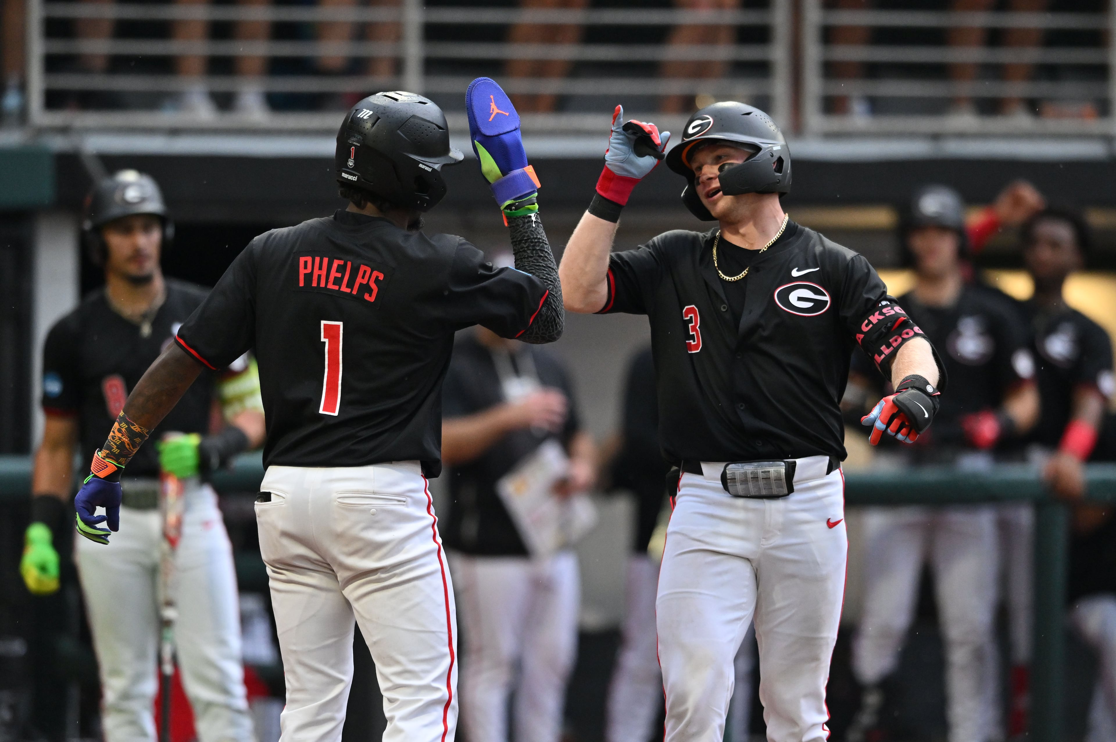 UGA baseballl vs. Long Island