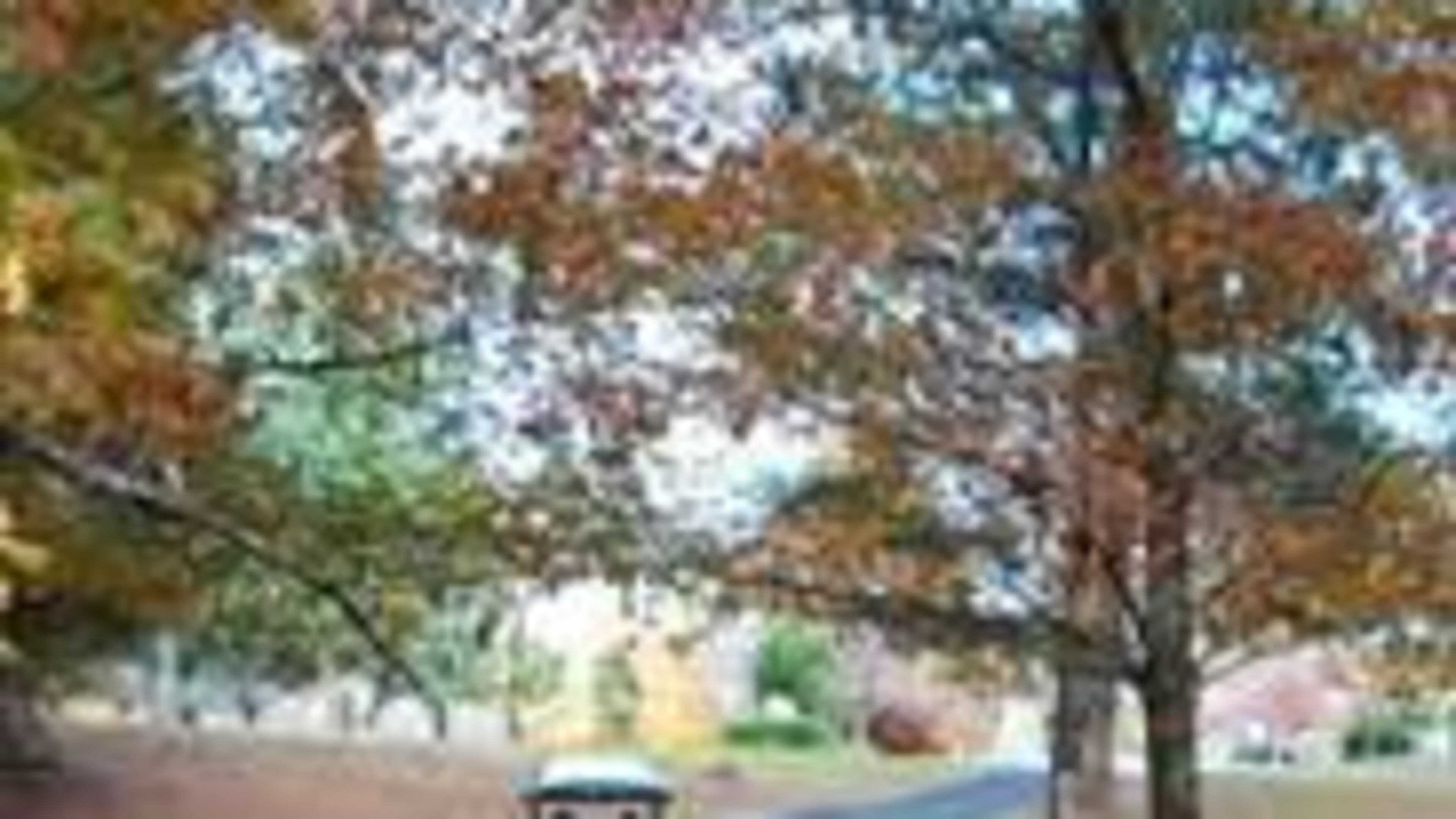 Funds from Peachtree City’s Capital Improvement Program and SPLOST revenue will fund $89,150 worth of repairs to golf cart path bridges and tunnels. Courtesy Peachtree City