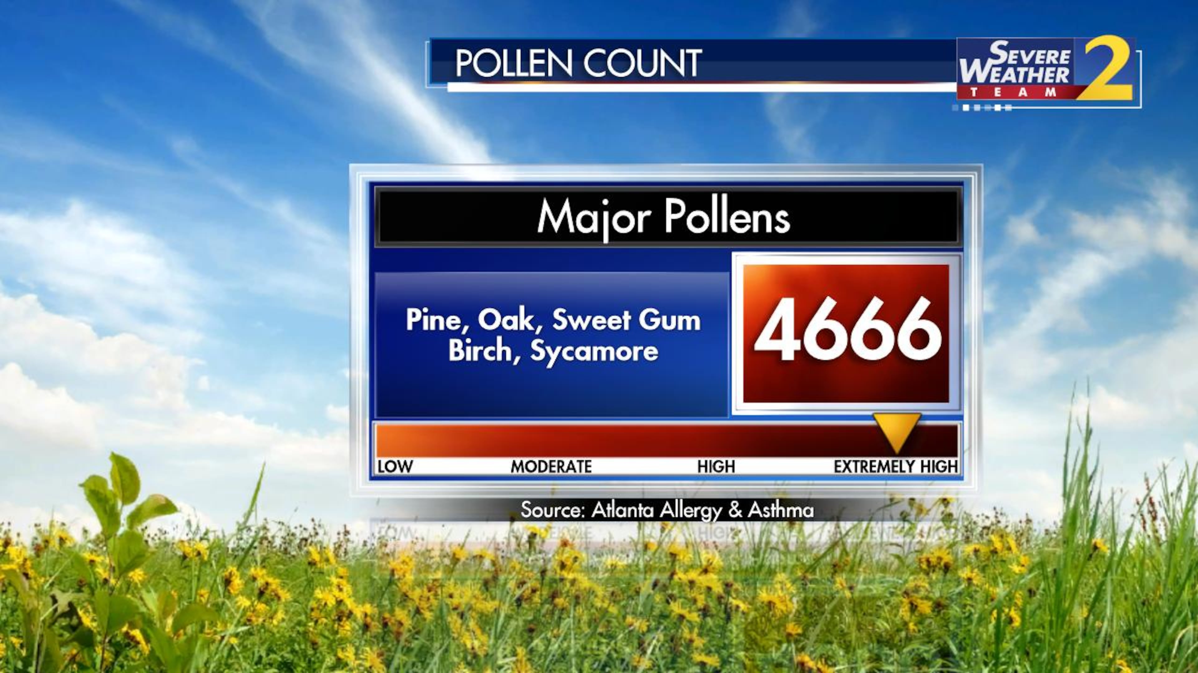 Sunday’s pollen count is 4,666, which more than doubles the count for Saturday and is the highest count so far this season. The primary culprits are tree pollens, according to the Atlanta Allergy and Asthma organization.