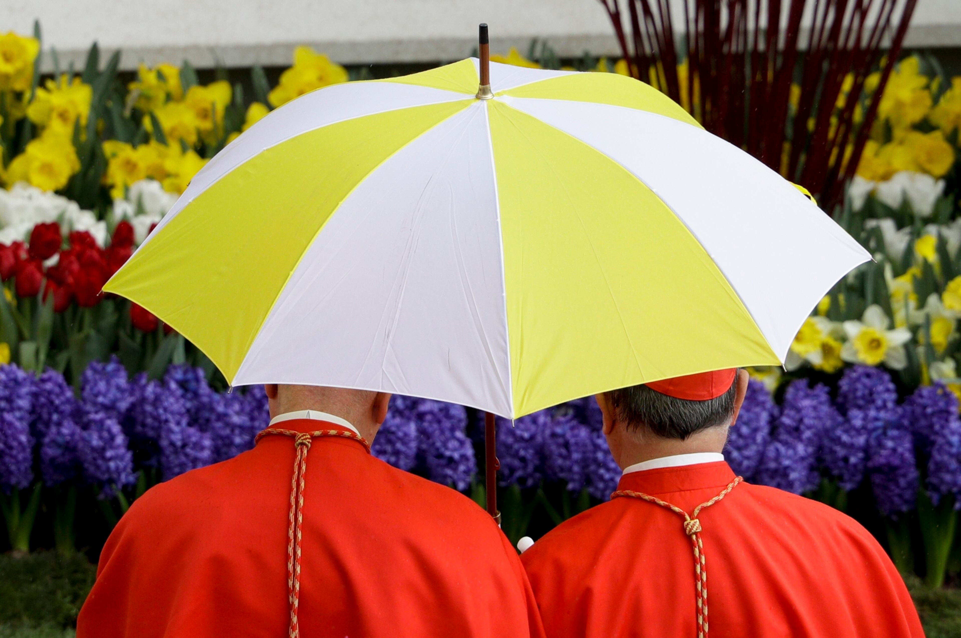 Two cardinals shelter from the rain as they attend Easter Sunday Mass, in St. Peter's Square, at the Vatican, Sunday, April 16, 2017. (AP Photo/Andrew Medichini)