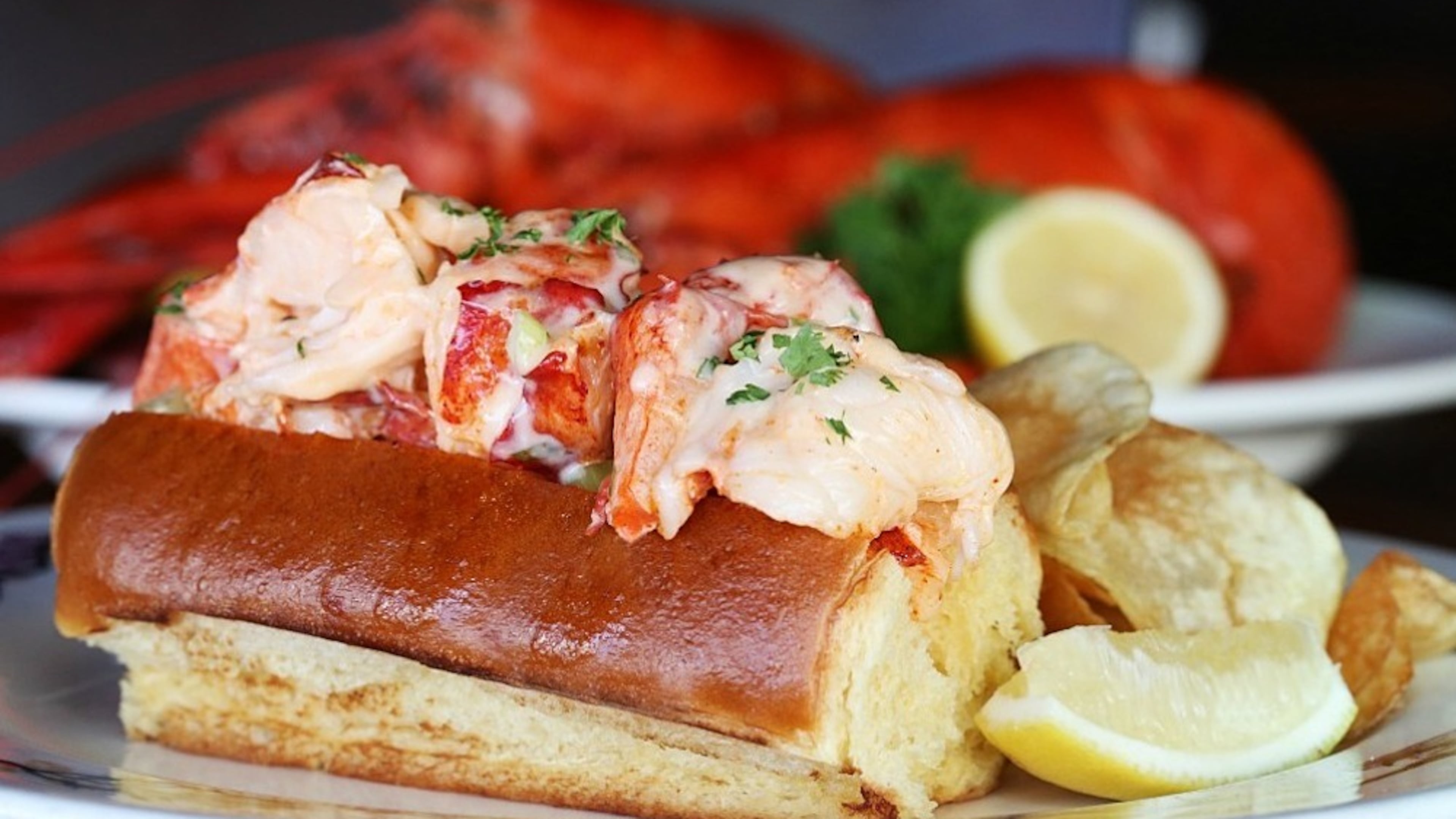Atlanta Fish Market lobster roll (Courtesy: Sarah Hannah Photography)