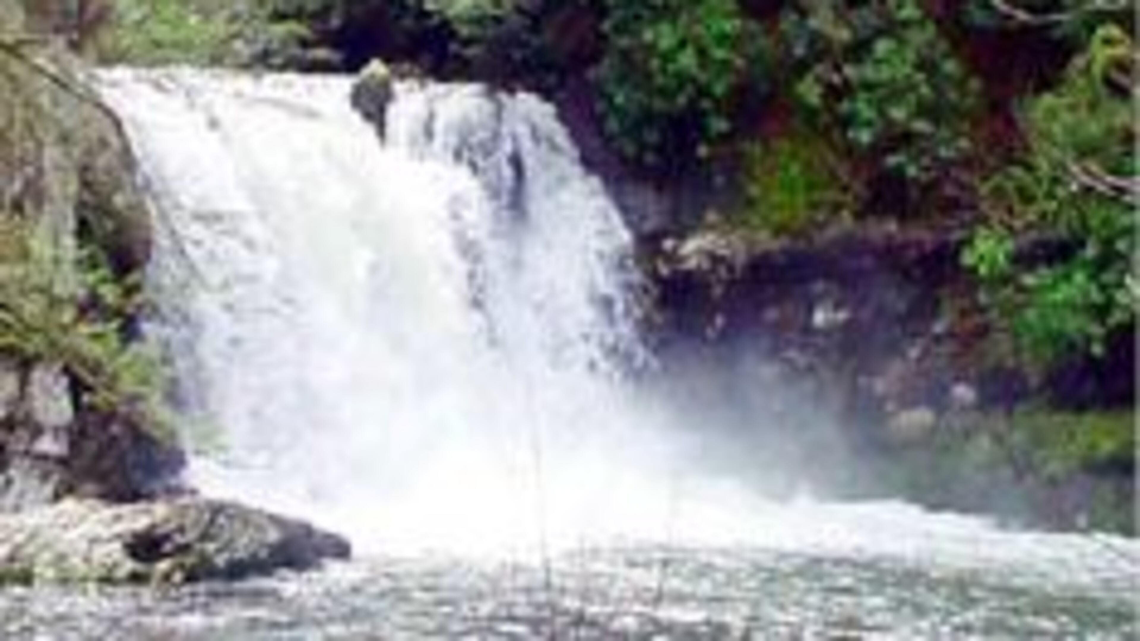 Abrams Falls in the Great Smoky Mountain National Park. (Credit: National Park Service)