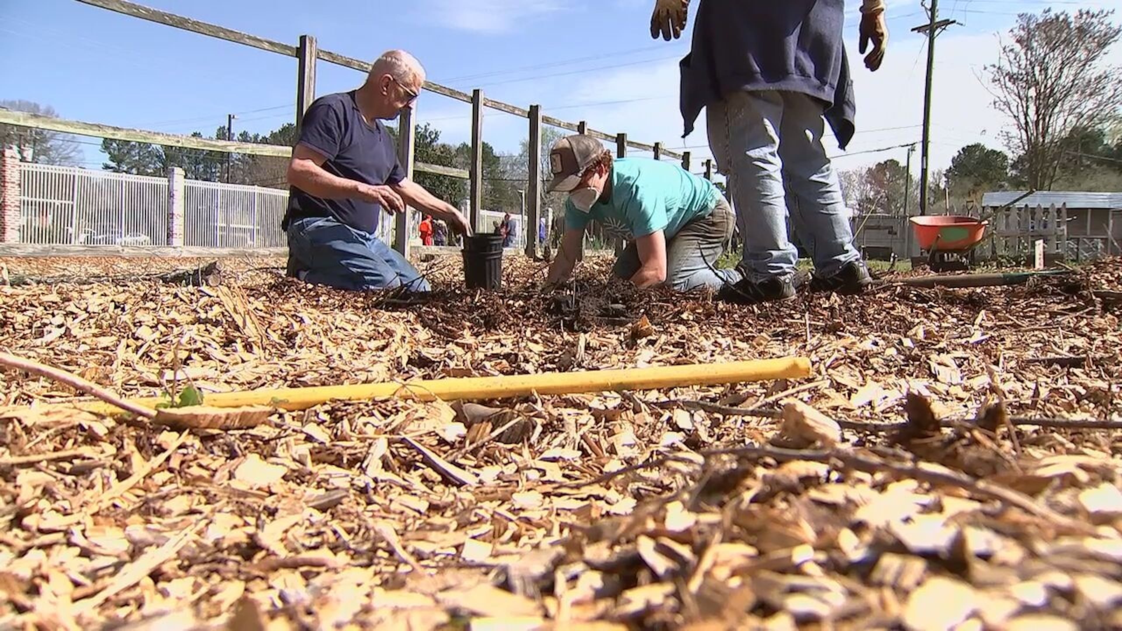 Give back to your community: 6 volunteer opportunities in Atlanta to ...
