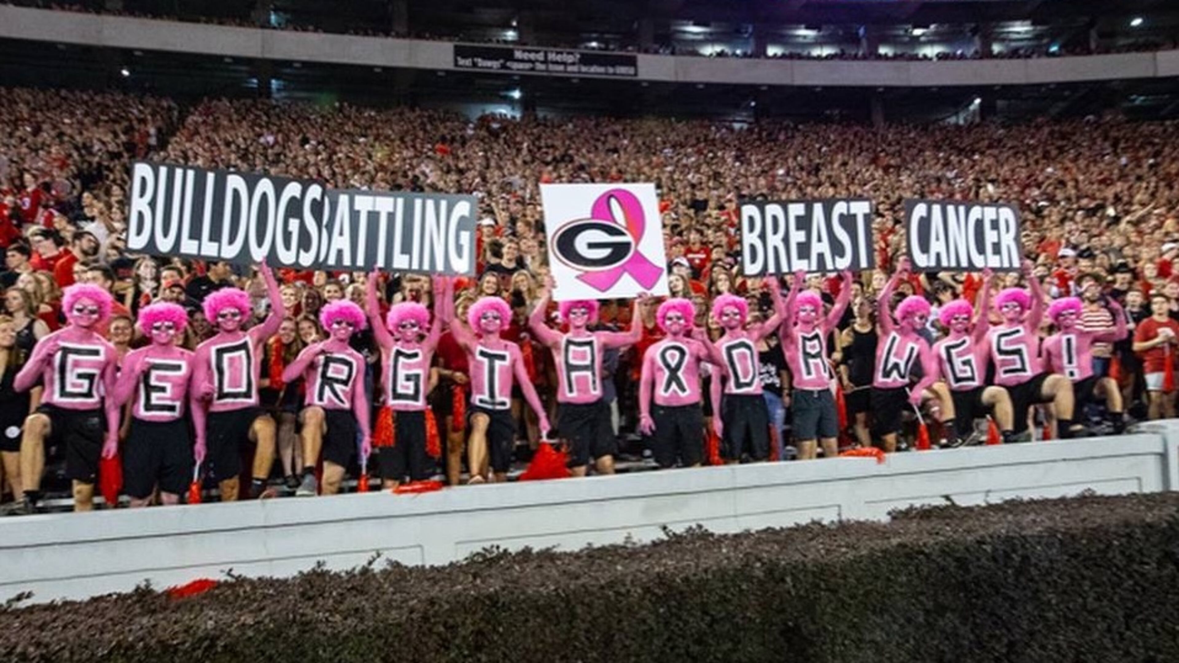 The UGA 'Spike Squad' got behind the 'Bulldogs Battle Breast Cancer' movement last October during Georgia's game against Vanderbilt at Sanford Stadium. (Photo provided by Dwight Standridge)