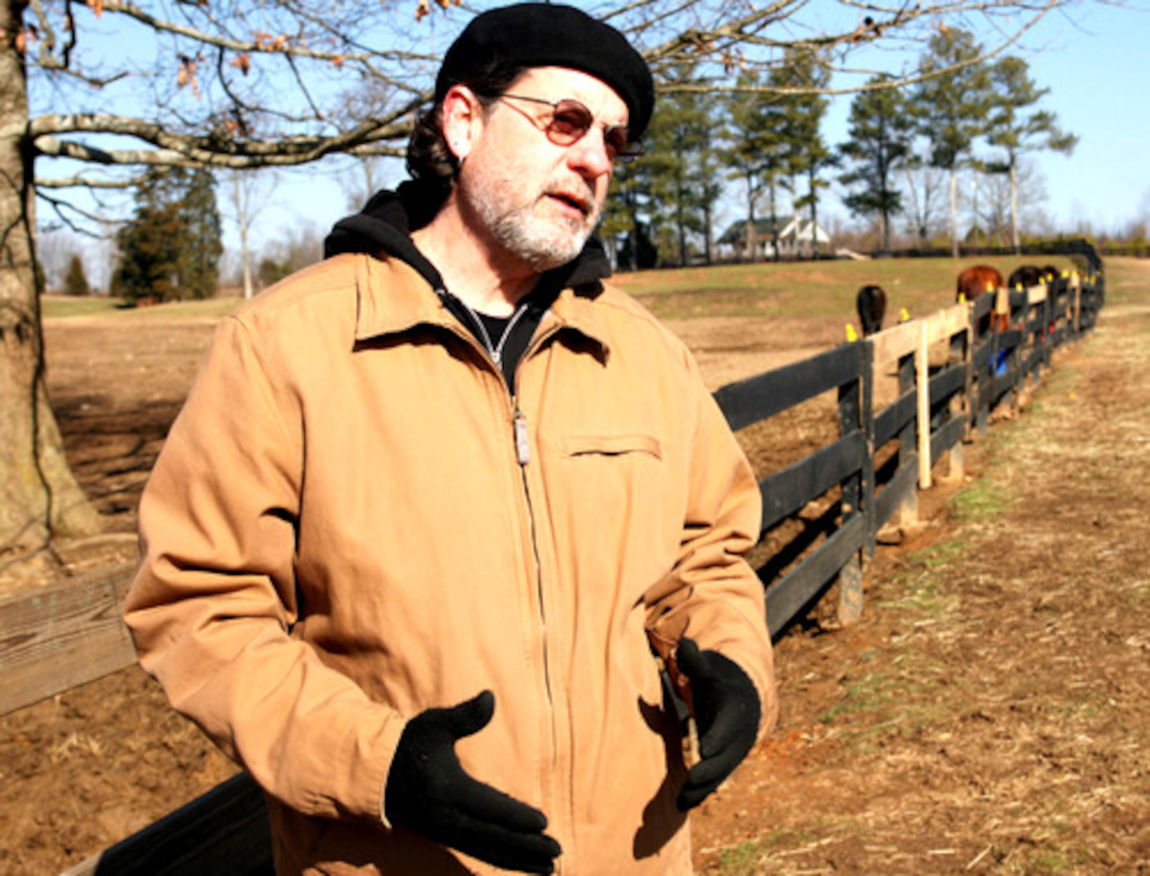 'Save The Horses' volunteer Henry Patton talks about the increasing number of horses in the program, which works to adopt the adoptable and promises a permanent home for those that aren't.