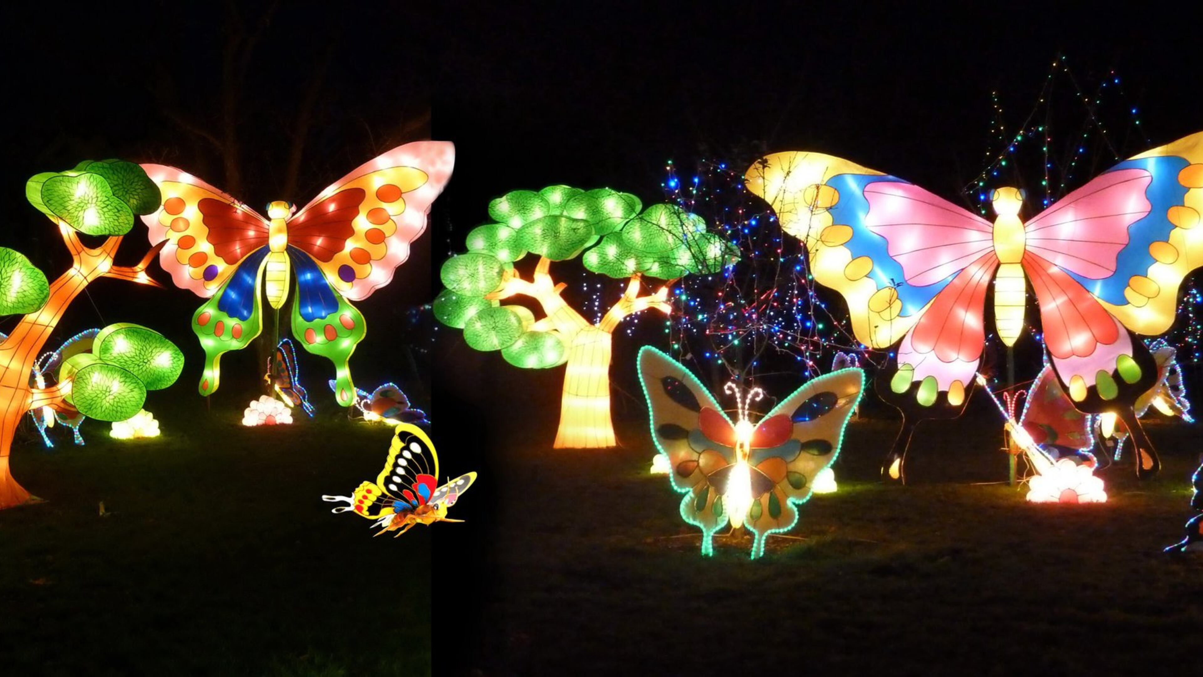 A Chinese Lantern Festival at Centennial Olympic Park will begin Dec. 9 and run through Jan. 15. CONTRIBUTED