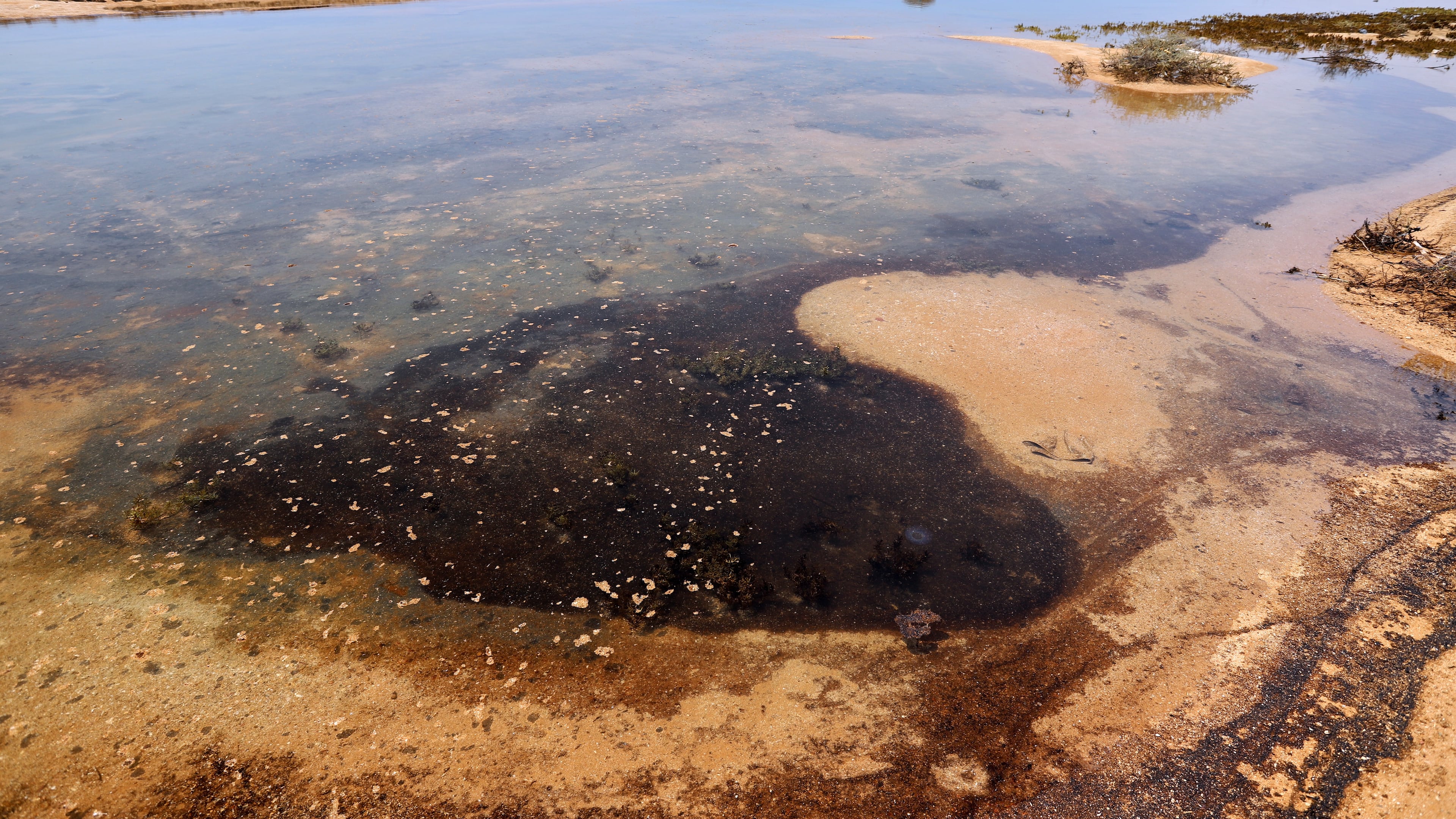 Dark oil residue collects in shallow coastal waters on Qeshm Island, Iran, Thursday, Aug. 13, 2026, amid ongoing wartime attacks on vessels and infrastructure in and around the Strait of Hormuz, though the spill's source has not been independently determined.(Amirhosein Khorgooi/ISNA via AP)