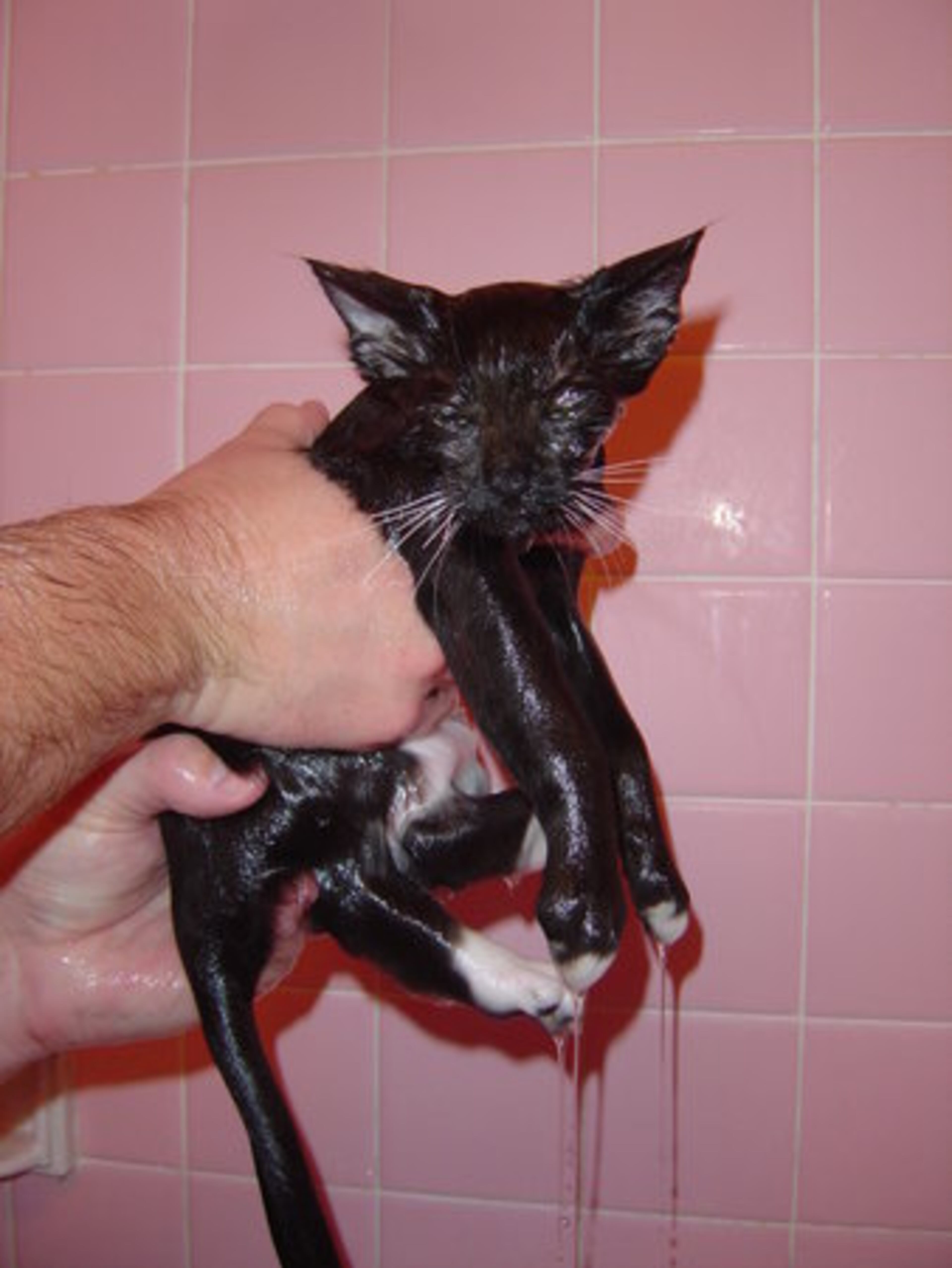 ... And that new upholstery on the couch? It is SOOO mine.