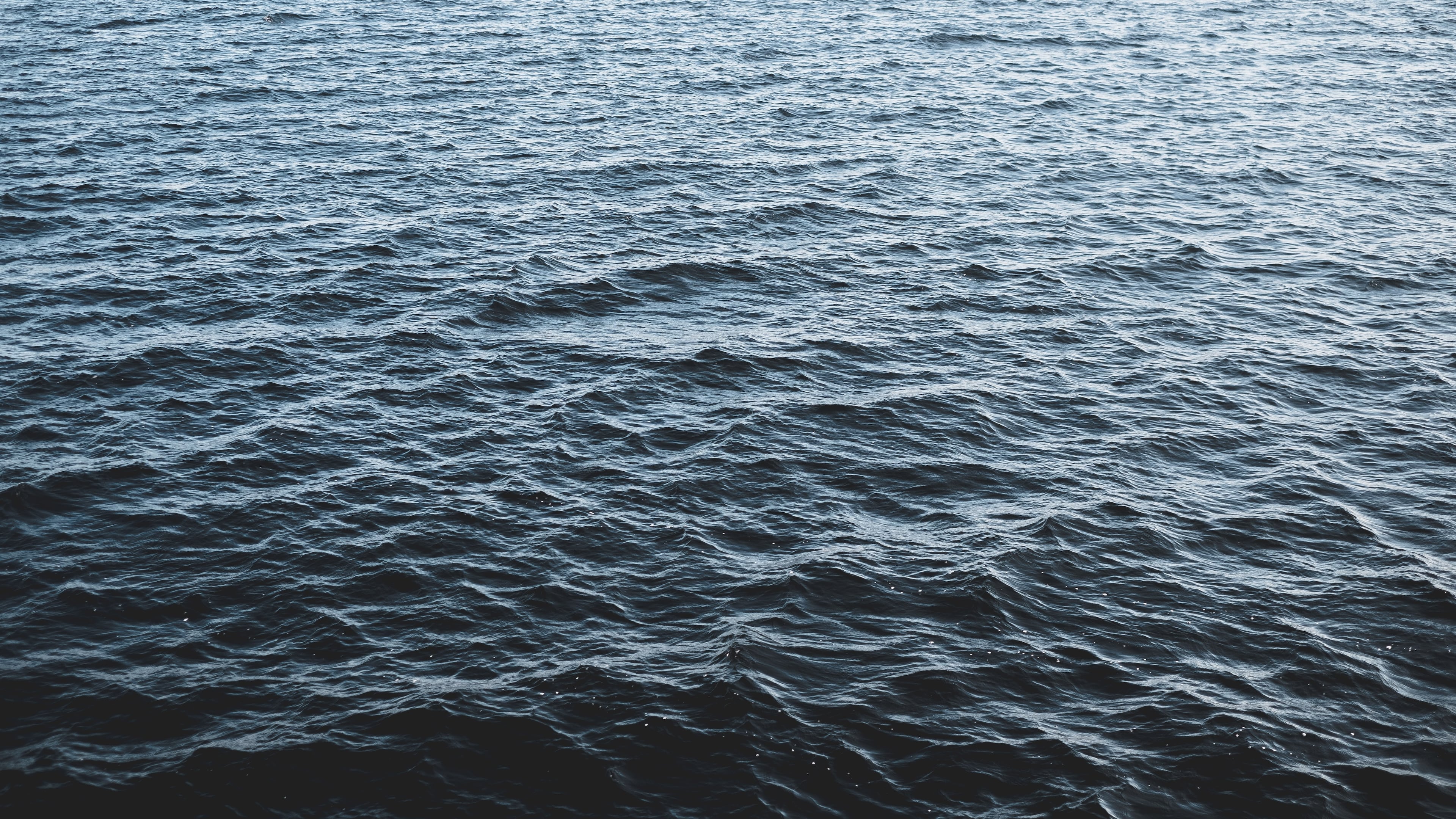 Lake waves