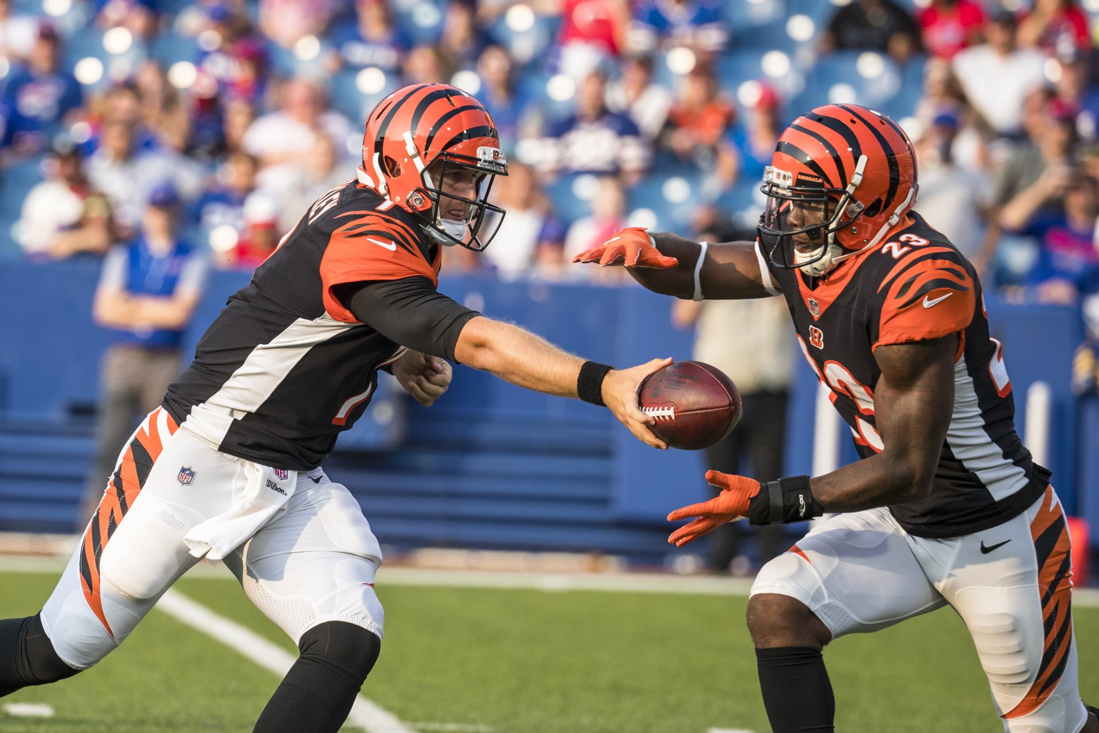 ORCHARD PARK, NY - AUGUST 26: Matt Barkley #7 hands the ball off to Brian Hill #23 of the Cincinnati Bengals during the second half against the Buffalo Bills during a preseason game at New Era Field on August 26, 2018 in Orchard Park, New York. Cincinnati defeats Buffalo 26-13 in the preseason matchup. (Photo by Brett Carlsen/Getty Images)