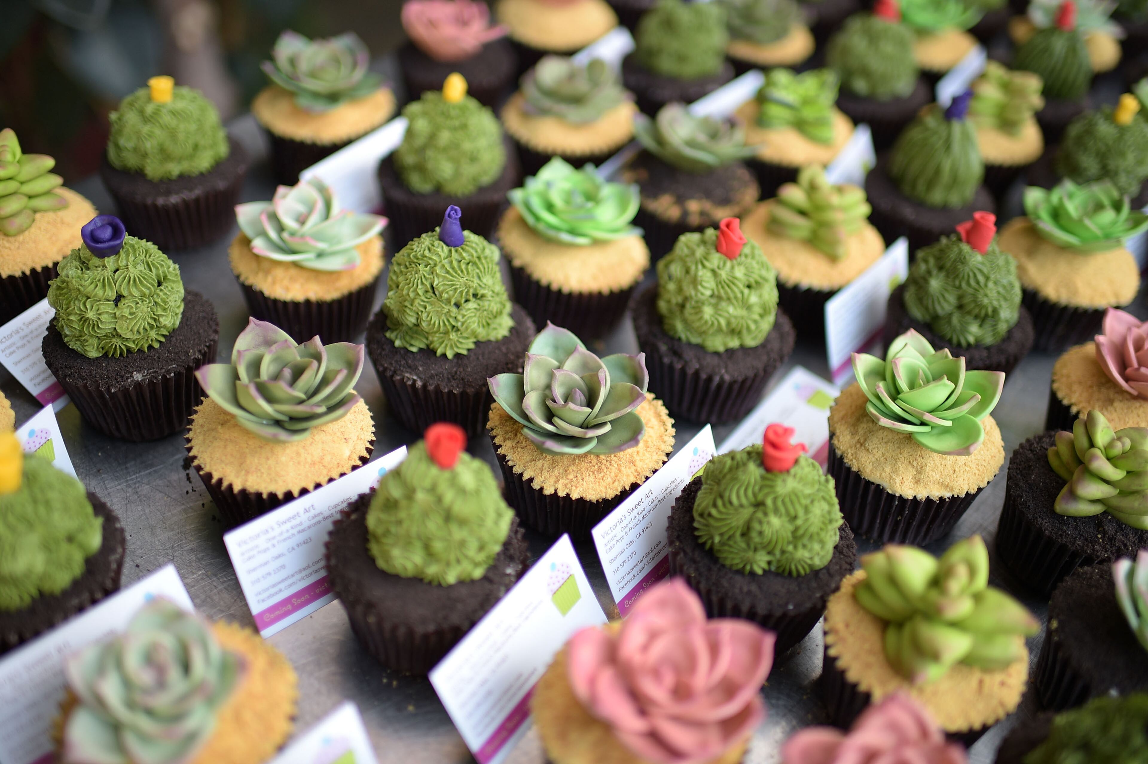 LOS ANGELES, CA - OCTOBER 26: A general view of atmosphere is seen during Nolan Gould's 16th birthday party held at Smogshoppe on October 26, 2014 in Los Angeles, California. (Photo by Jason Kempin/Getty Images)