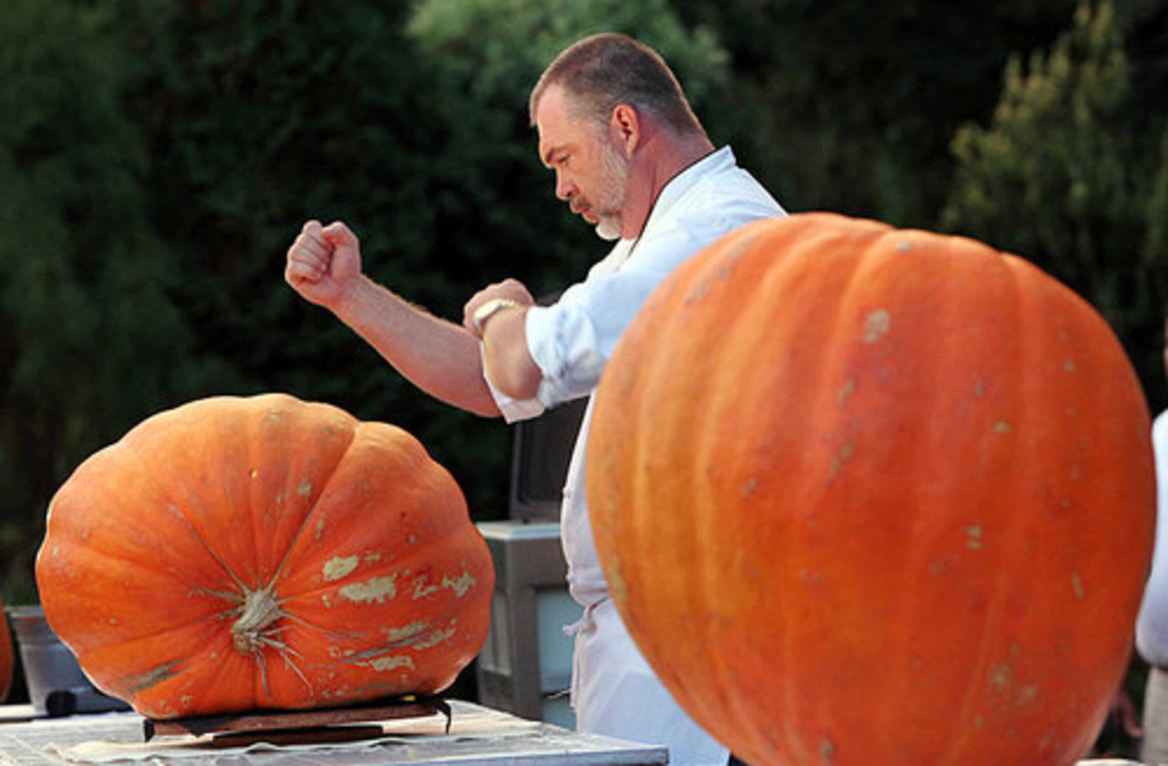 Chef James Gregory Paine, owner executive chef, rolls up his sleeves and plans his attack as celebrity chefs square off and put their pumpkin-carving prowess to the test during Fest-of-Ale at the Atlanta Botanical Garden in Atlanta on Thursday, Oct. 28, 2010.