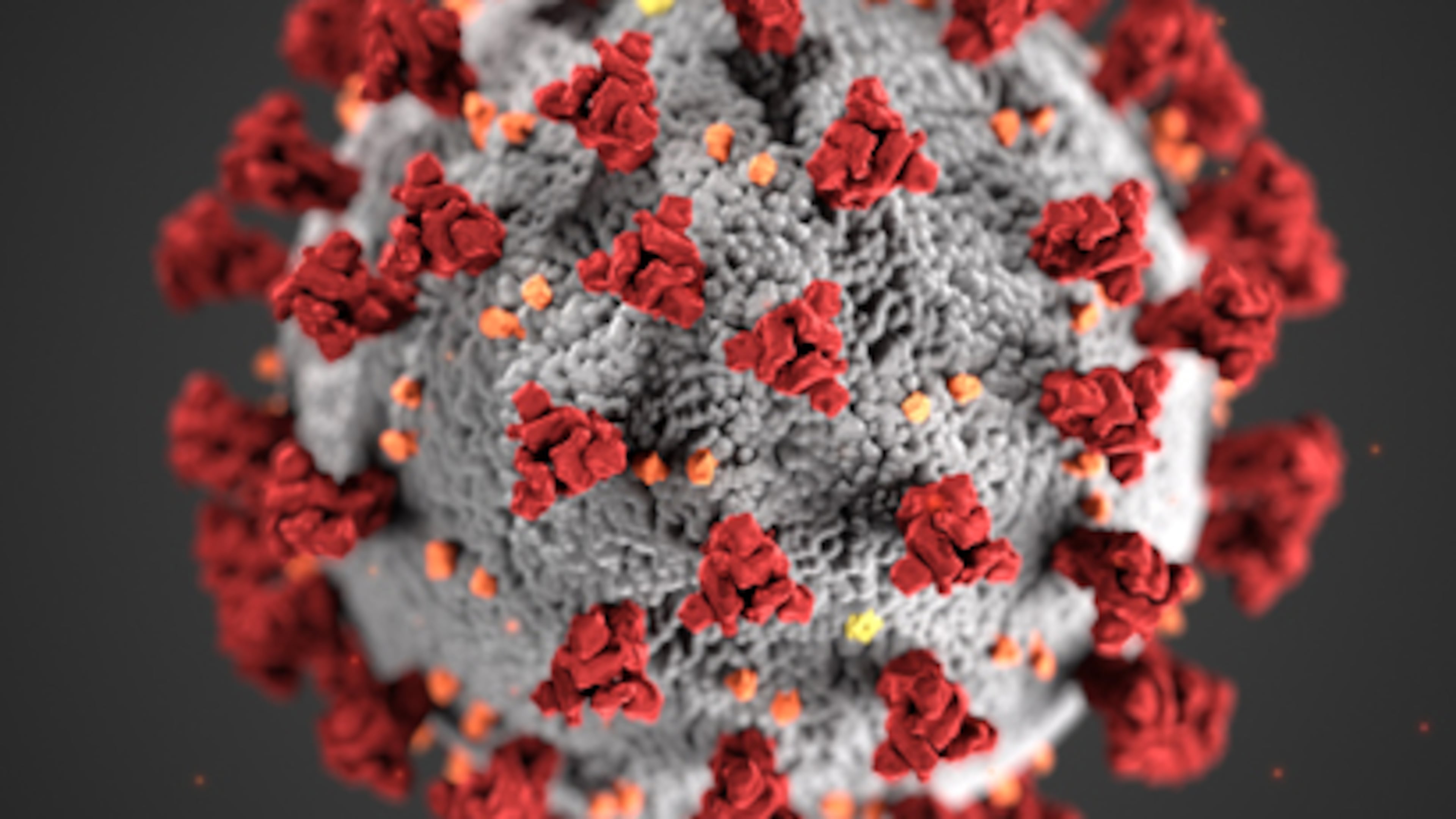 Henry County has ordered non-essential businesses to close until April 7 because of the coronavirus.