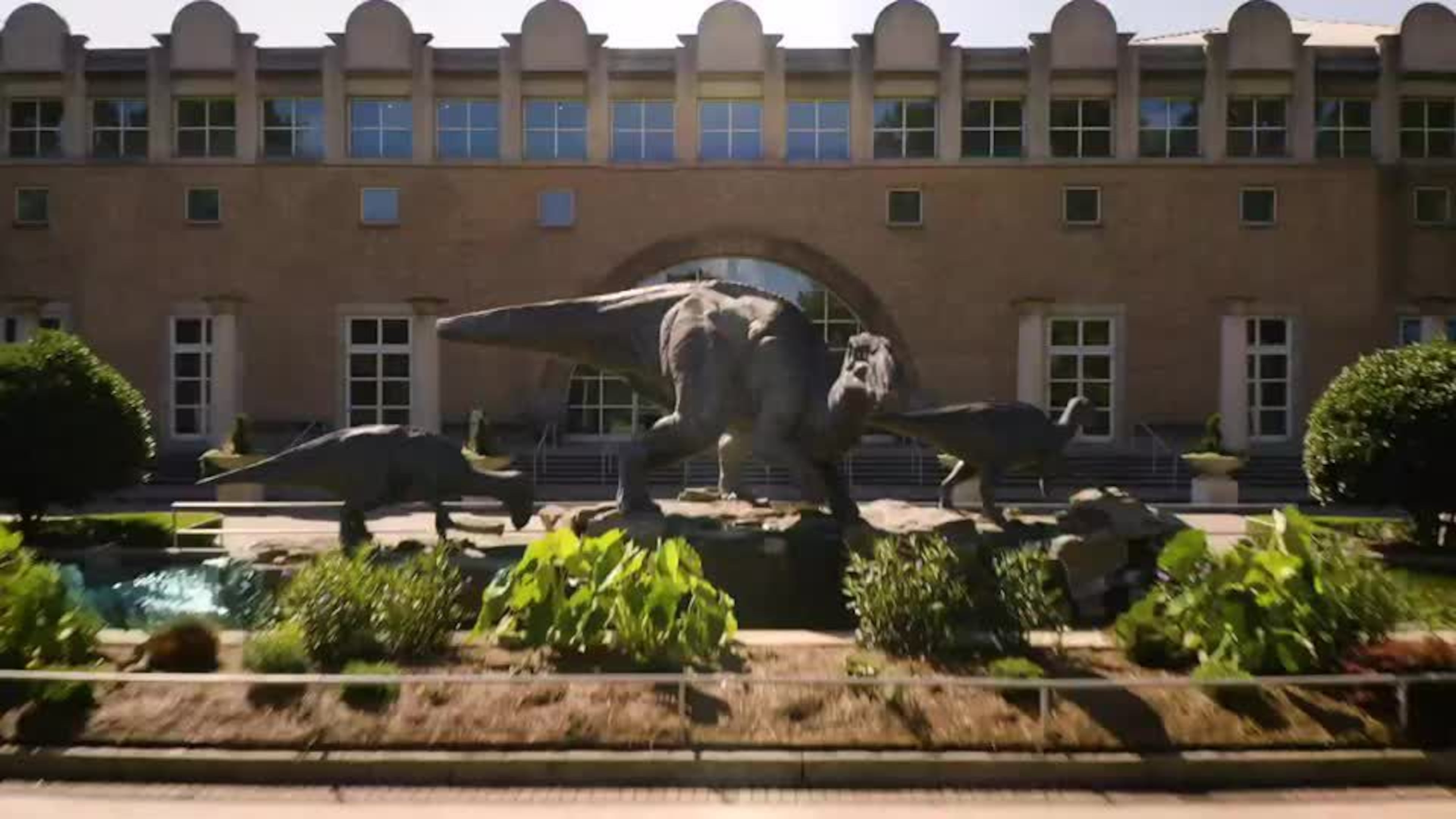 Discover Fernbank Museum of Natural History