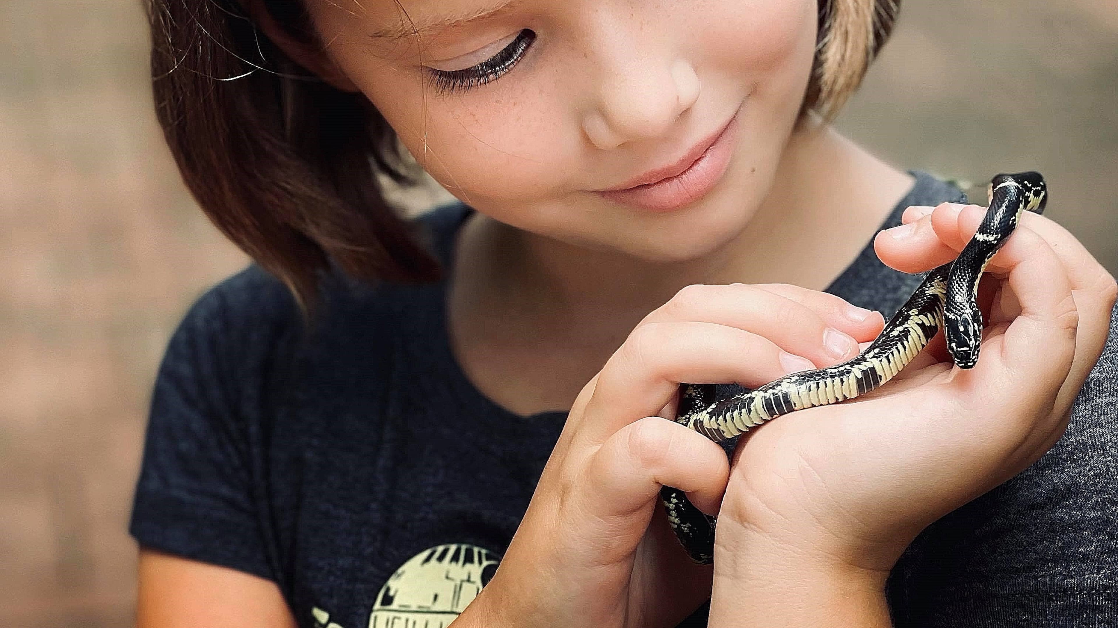 Eden Ballard, 8, of Decatur holds an Eastern kingsnake that she and her sister, Ella, 10, had just rescued from a neighborhood street. They released it to a safer spot and reported it to the Urban Kings project. (Courtesy of Daniel Ballard)