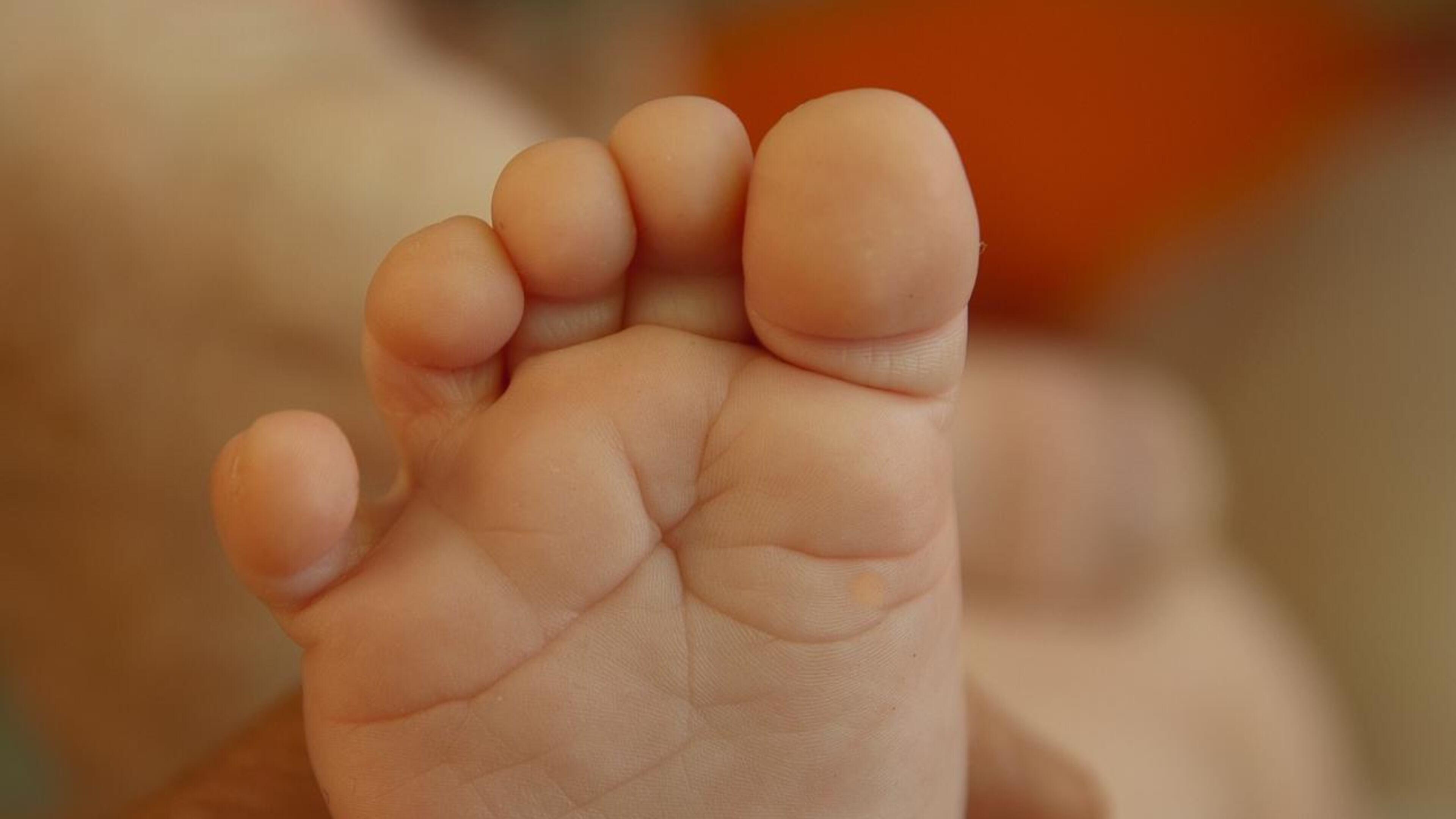 A 2-year-old boy lost three toes when police say his mother's boyfriend intentionally pushed a TV set over on the child. The boyfriend is facing charges.
